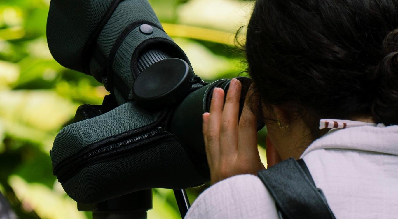 Manuel Antonio National Park: Naturalist-Led Wildlife Walking Tour