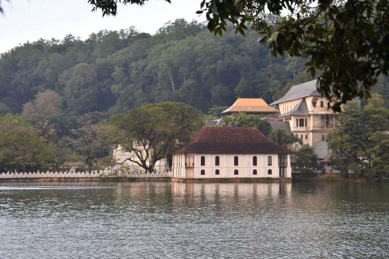 Kandy, Pinnawala & Tea Country Full-Day Excursion
