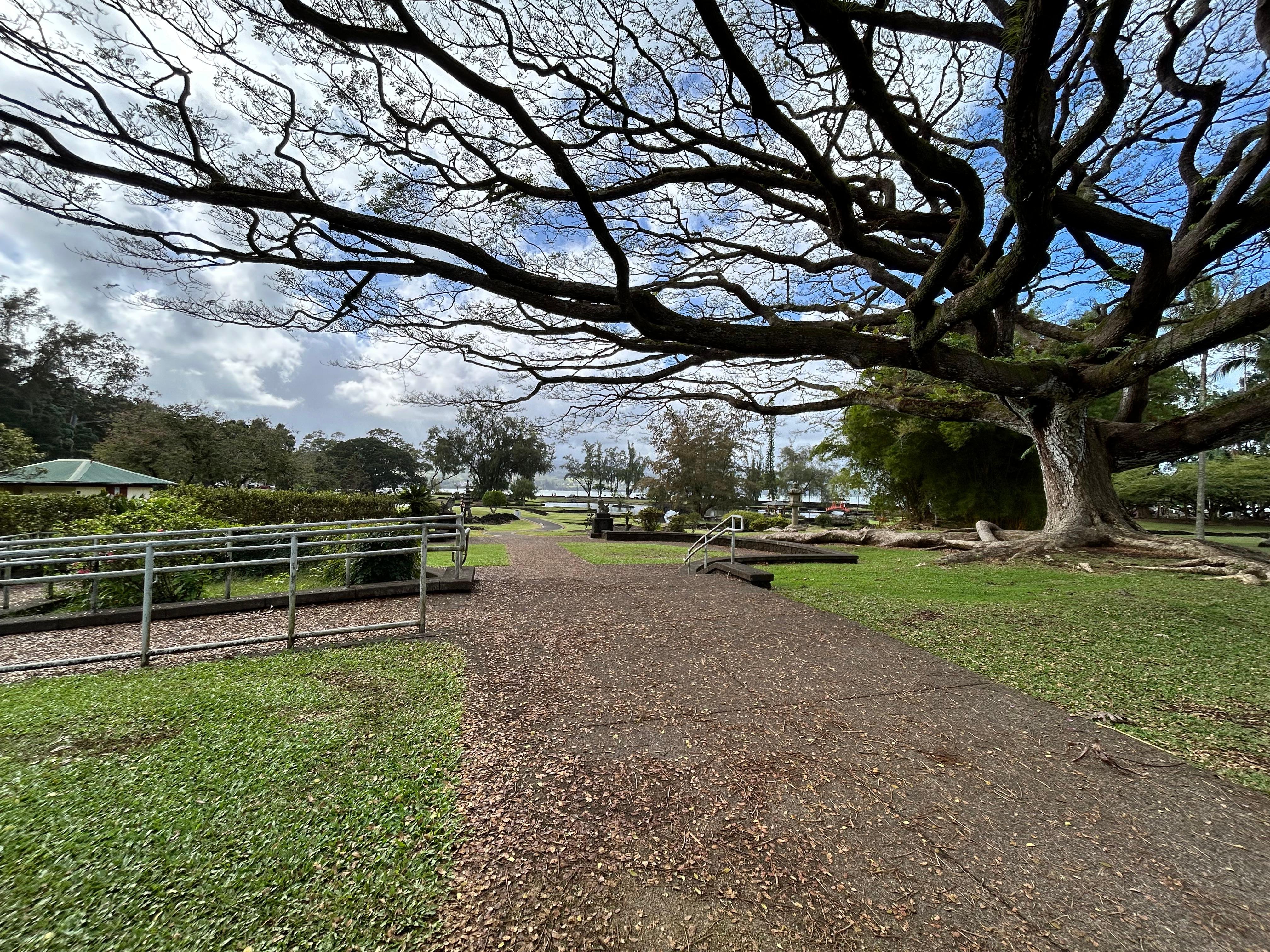 From Hilo: Hawaii Volcanoes National Park Tour — Kilauea and Hawaii Volcanoes National Park scenery (2)