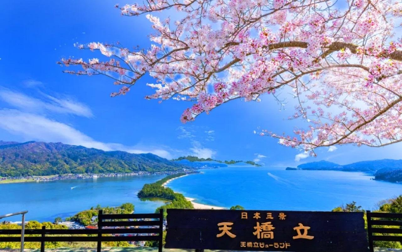 Ine Bay & Amanohashidate Coastal Discovery from Kyoto
