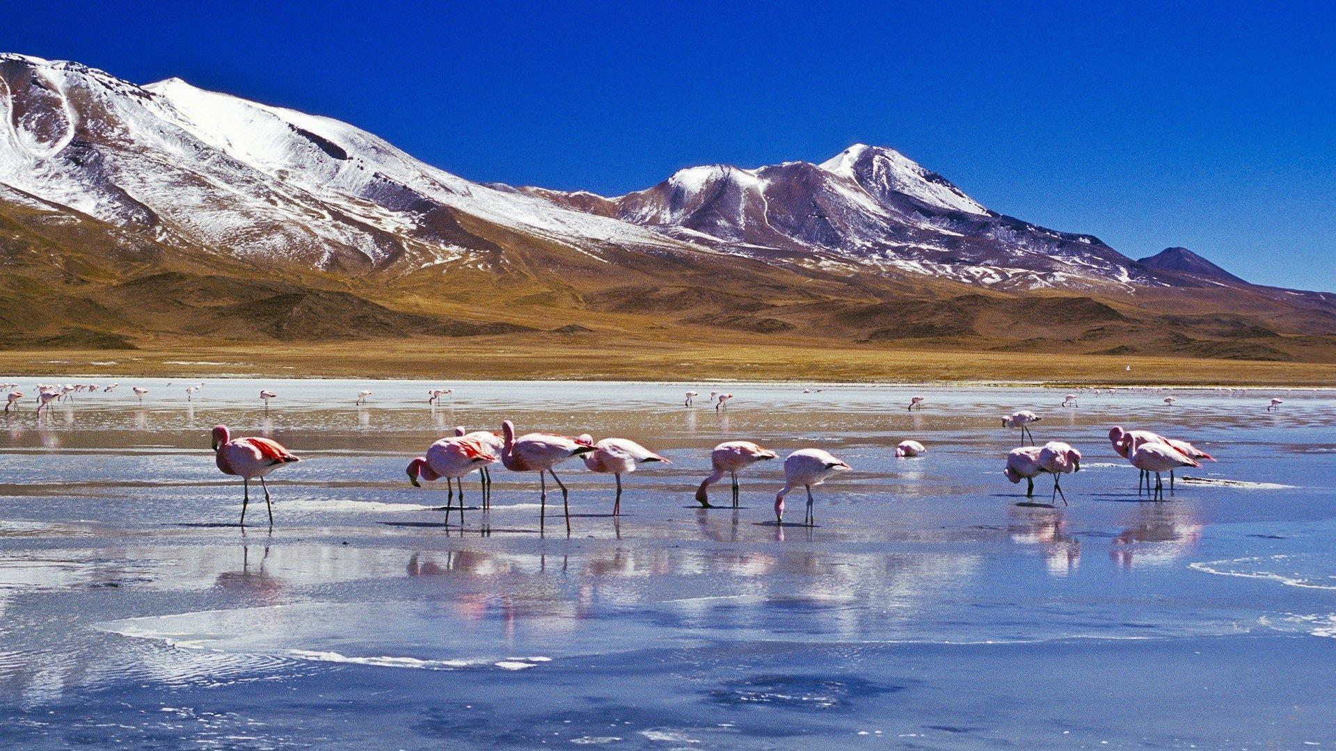 Avventura di 16 giorni in Perù e Bolivia: da Lima a La Paz