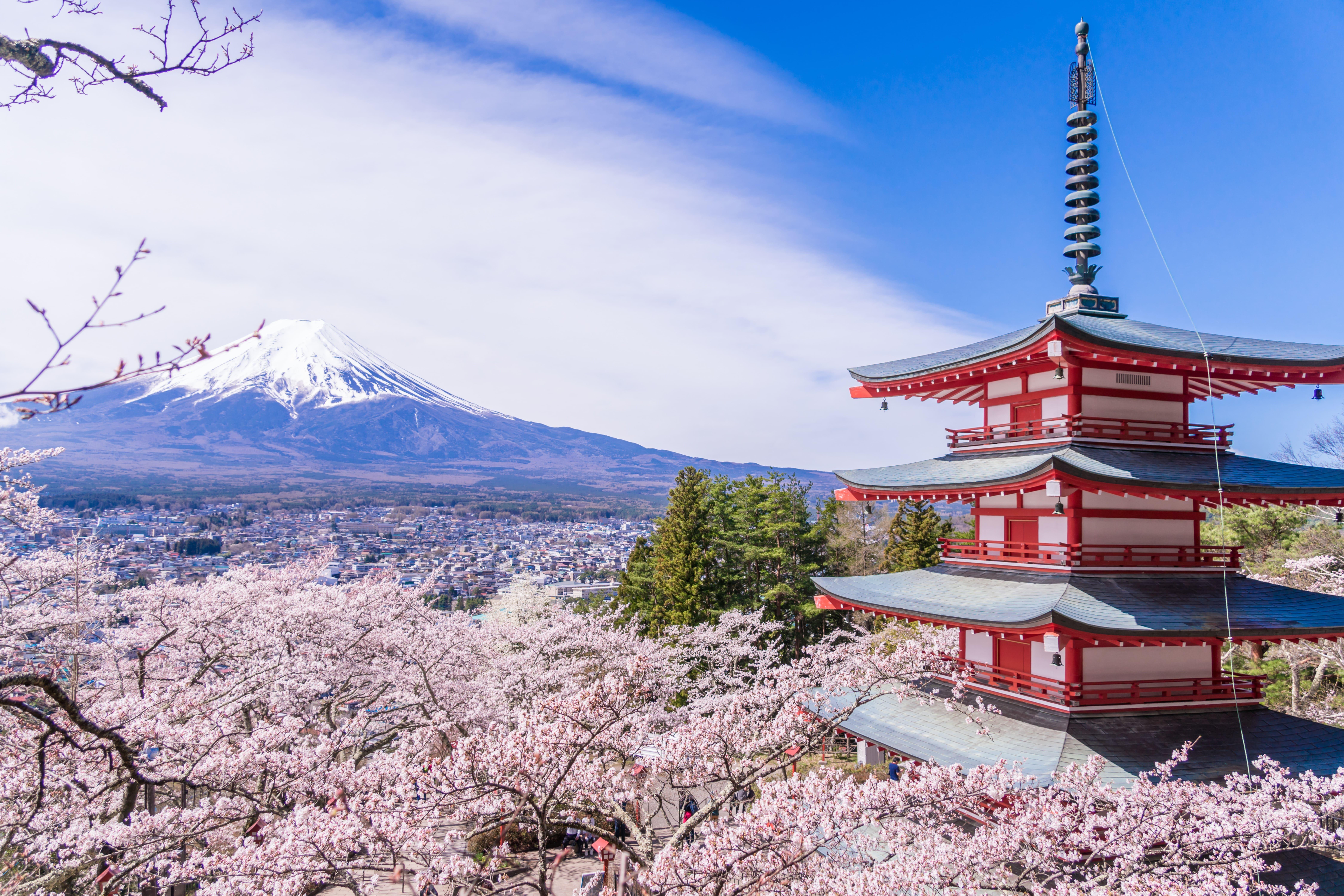 Mt. Fuji Day Tour: Scenic Stops & Lake Kawaguchi Cruise from Tokyo