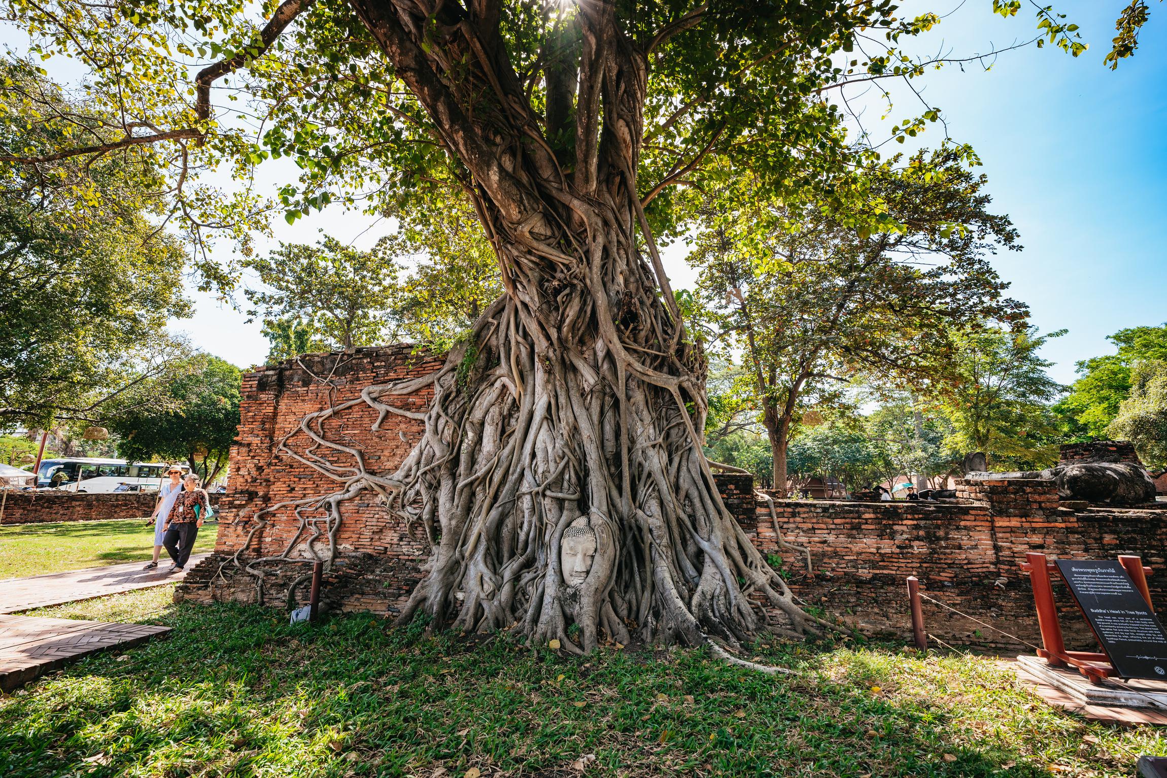 Bangkok to Ayutthaya: Ancient Temples Day Tour with Lunch