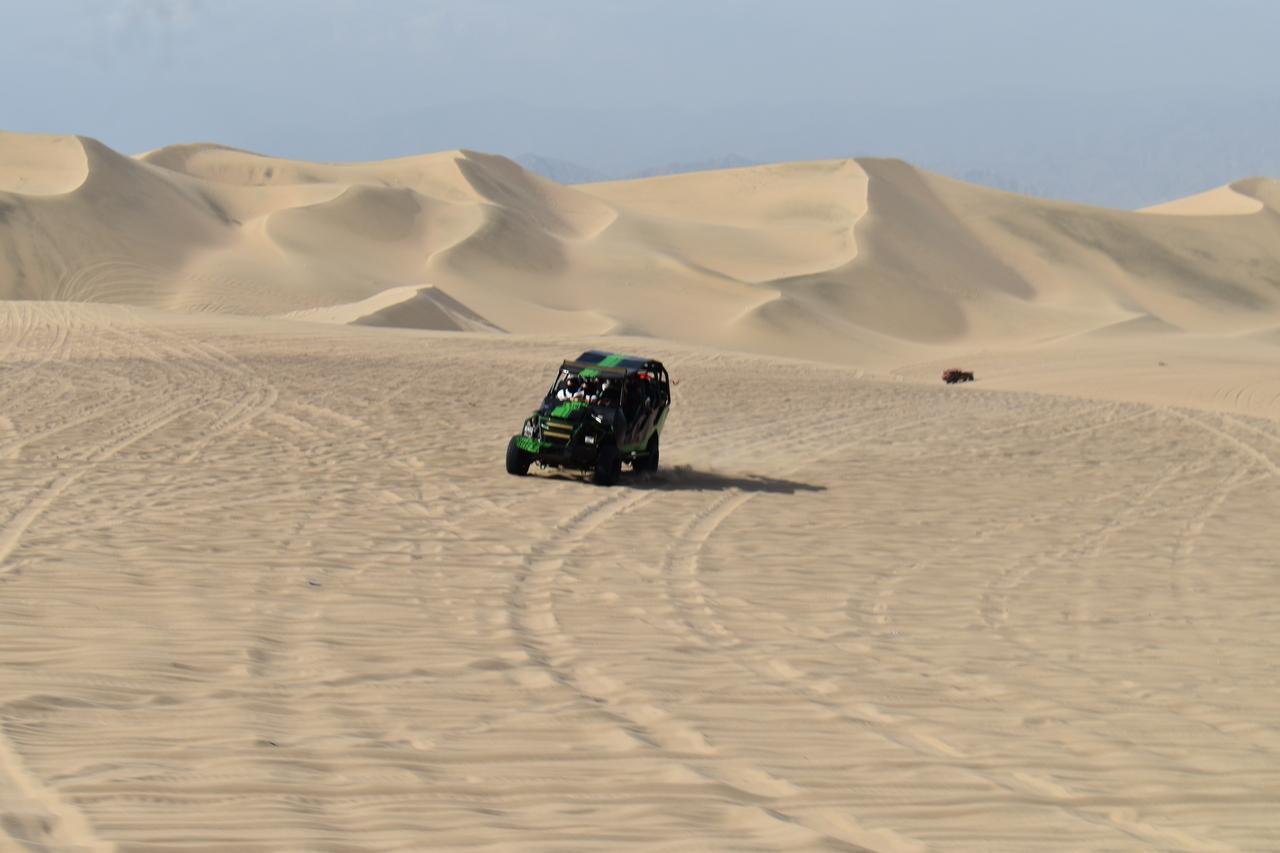 Excursión de un día a Paracas y Huacachina: vida silvestre, aventura en el desierto y cata de vinos