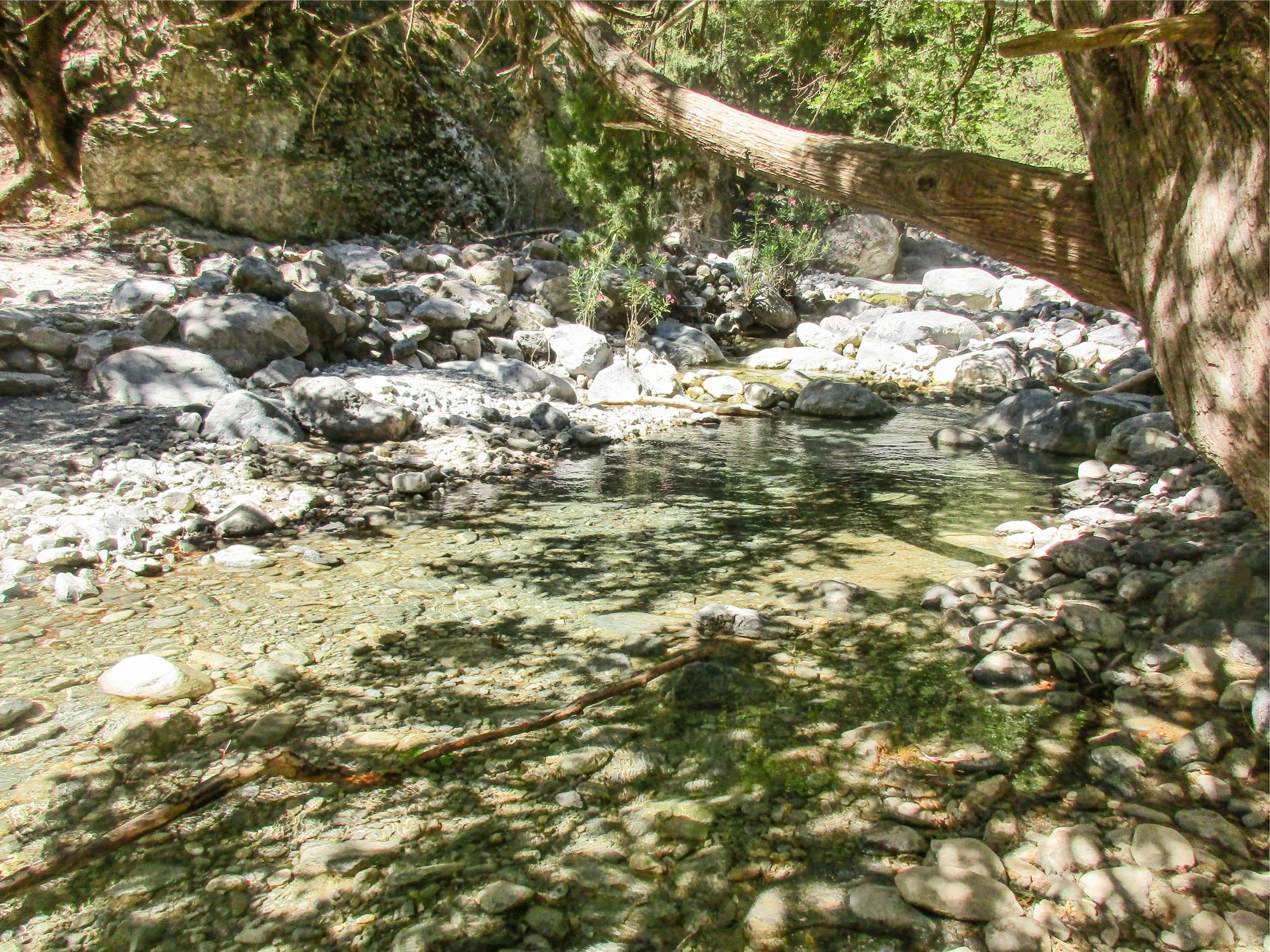 Samaria Gorge hike Crete — Xyloskalo descent, Iron Gates Sideroportes, kri-kri ibex, Agia Roumeli Libyan Sea — image 24