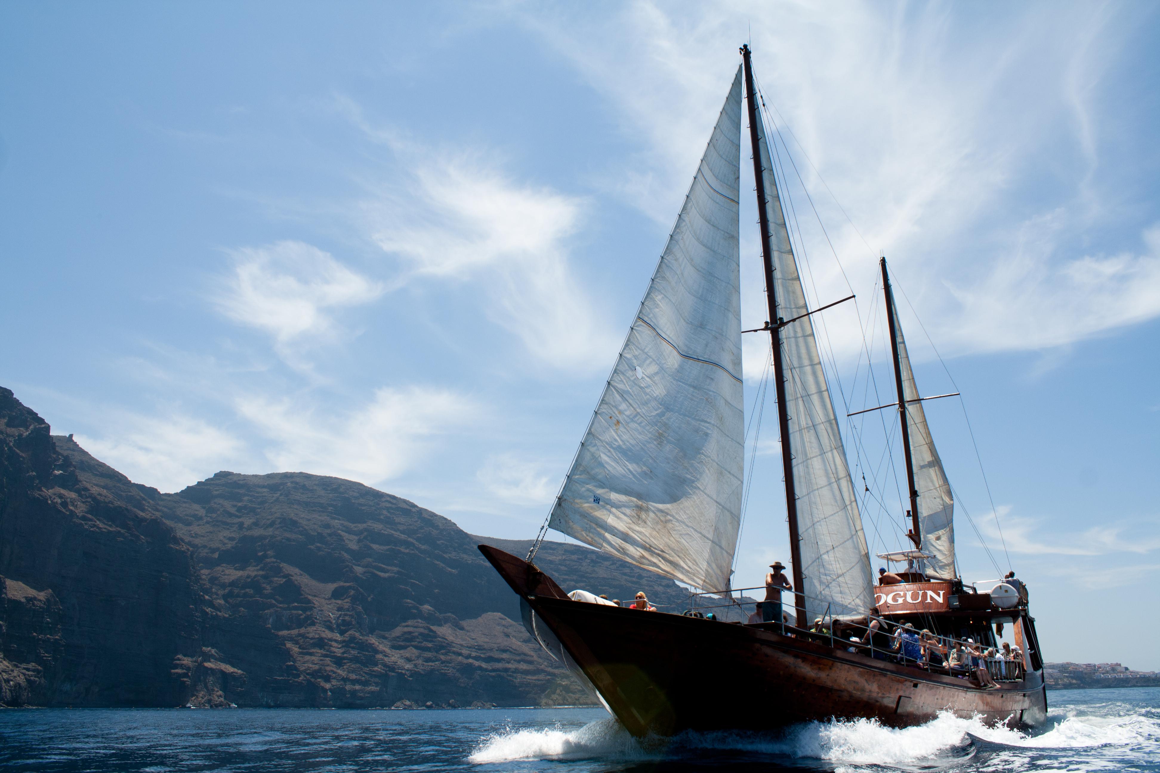 Tenerife Wooden Schooner Whale Watching & Los Gigantes Cruise