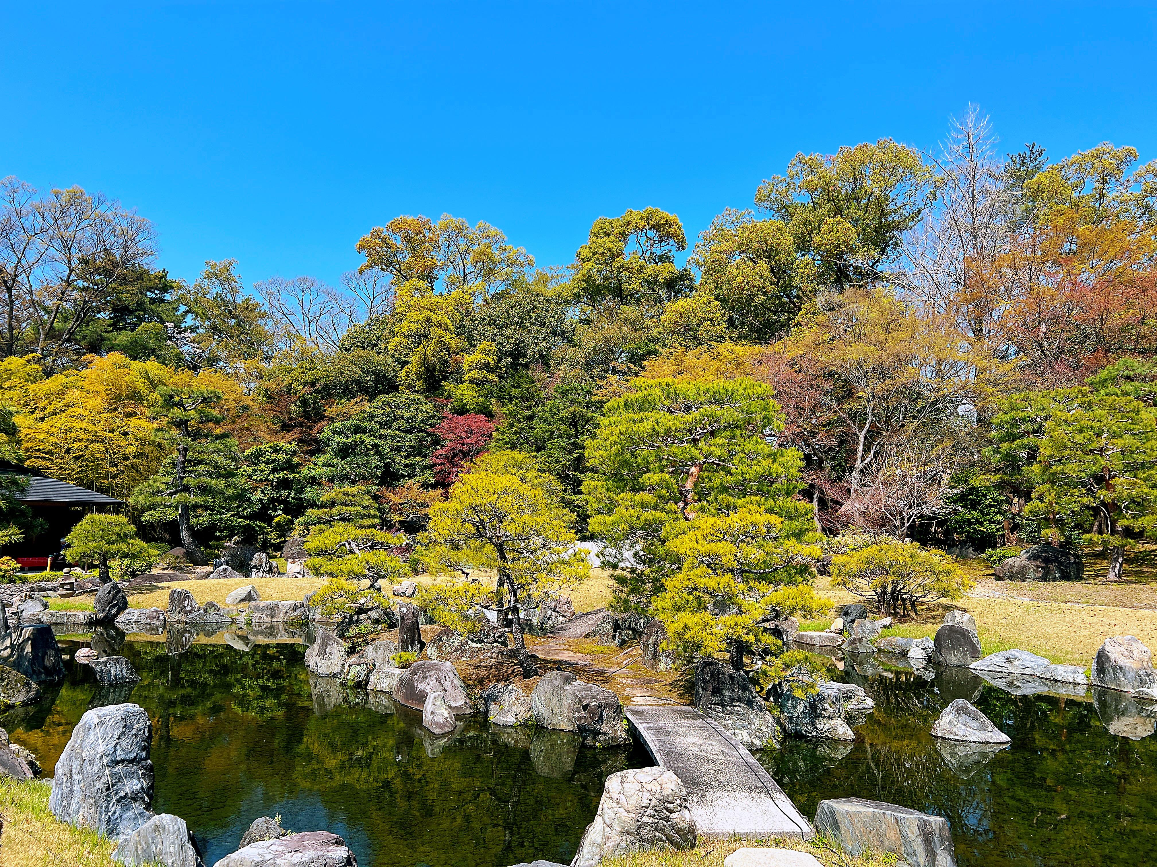 Kyoto Nijo-jo Castle: Private Samurai & Shogun History Tour