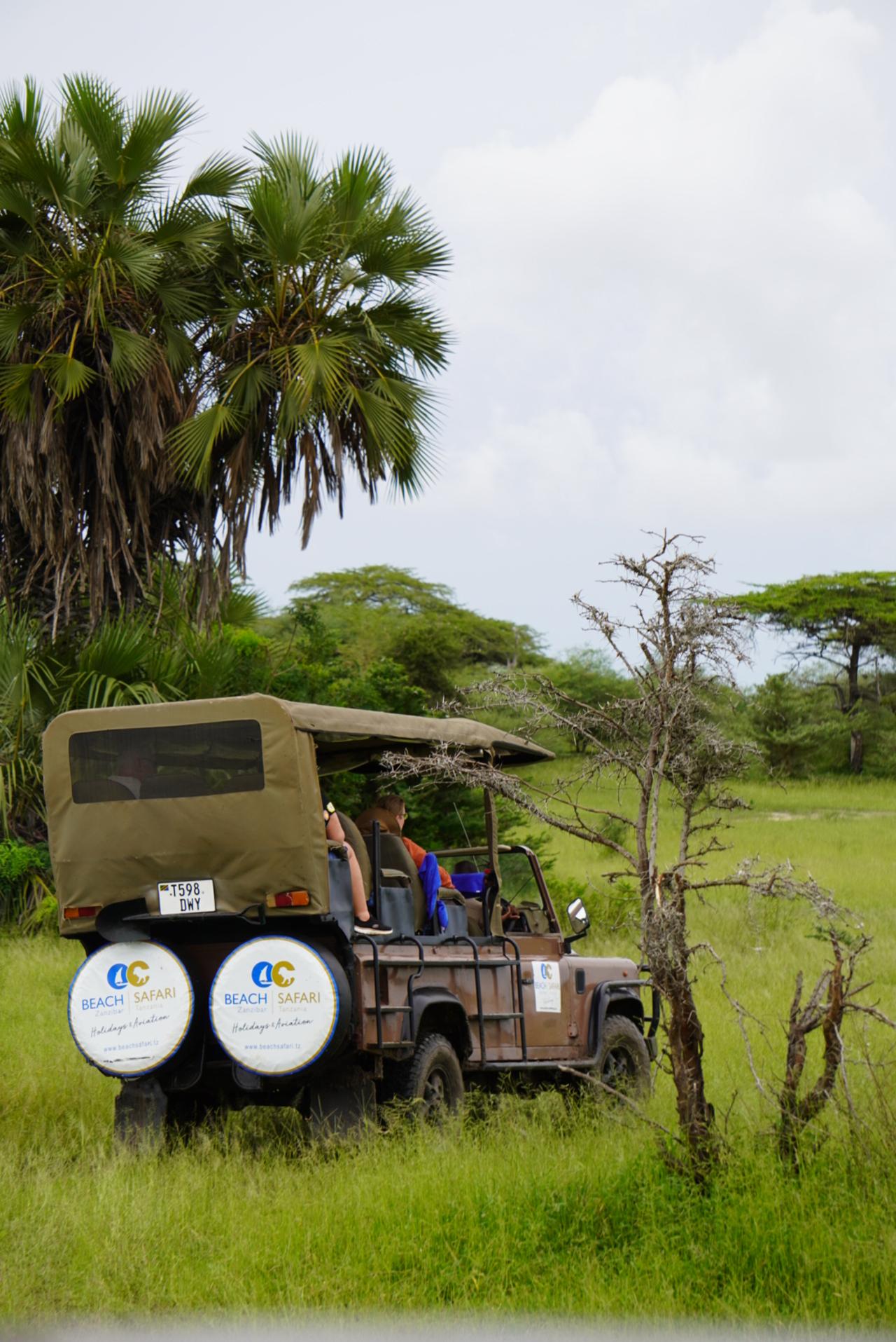 Zanzibar to Selous: Full-Day Safari with Bush Lunch (+ 2-Day Option)