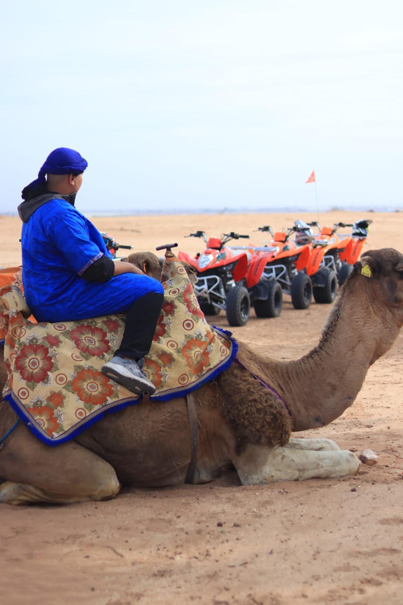 Agadir Quad Biking & Camel Trek with Berber Tea