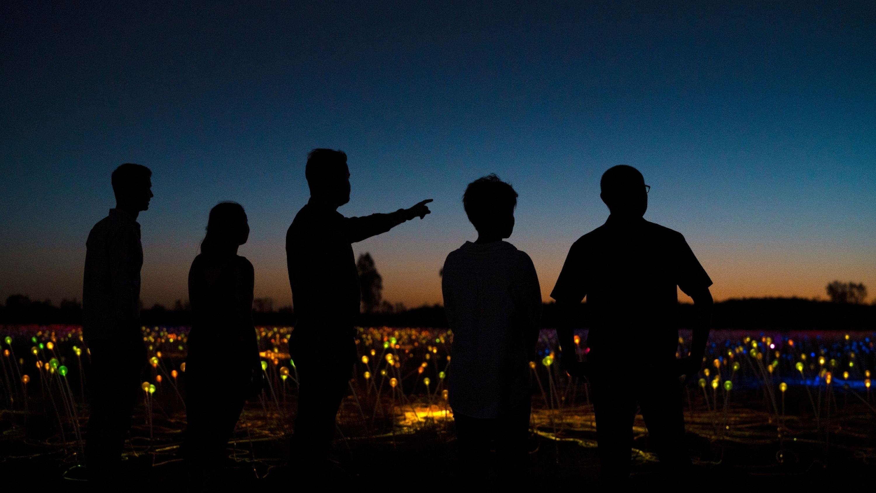 Uluru Field of Light Sunrise Experience