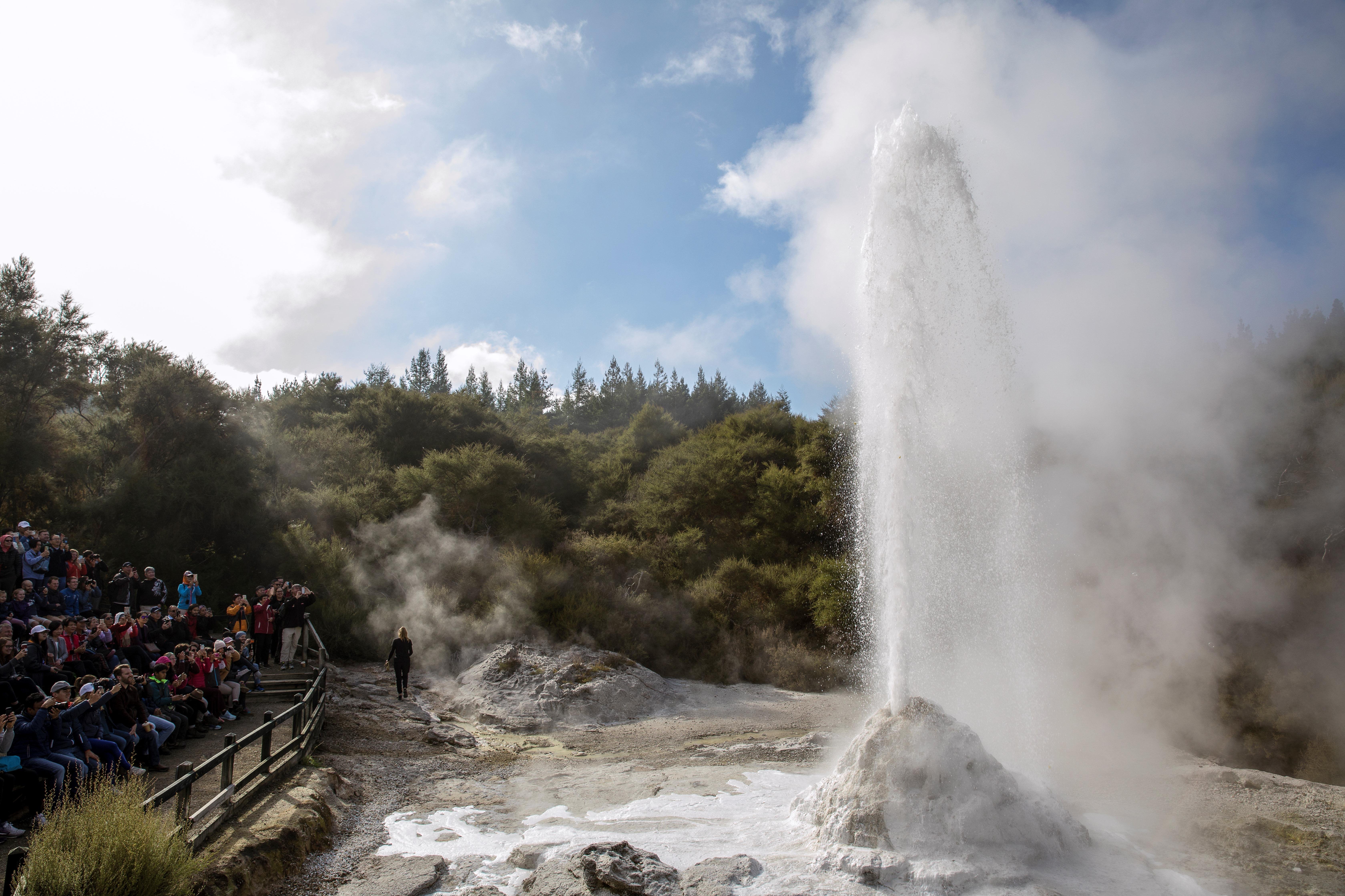TRIPLE DEAL Wai-O-Tapu, Redwood & Blue Springs from Auckland