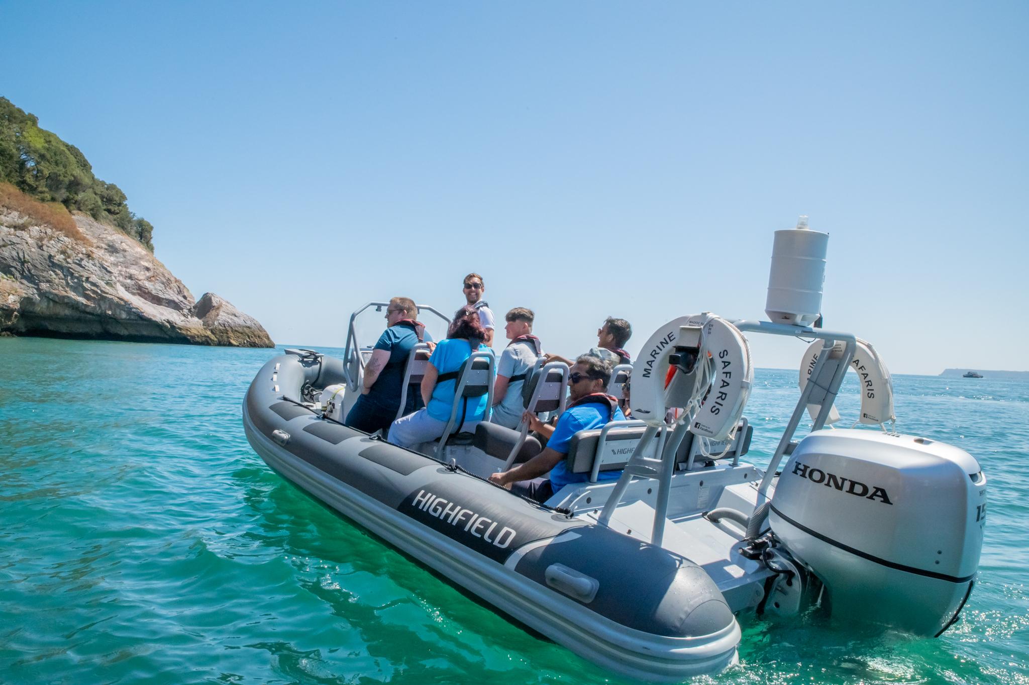 Private Torquay Coastal Wildlife Boat Adventure