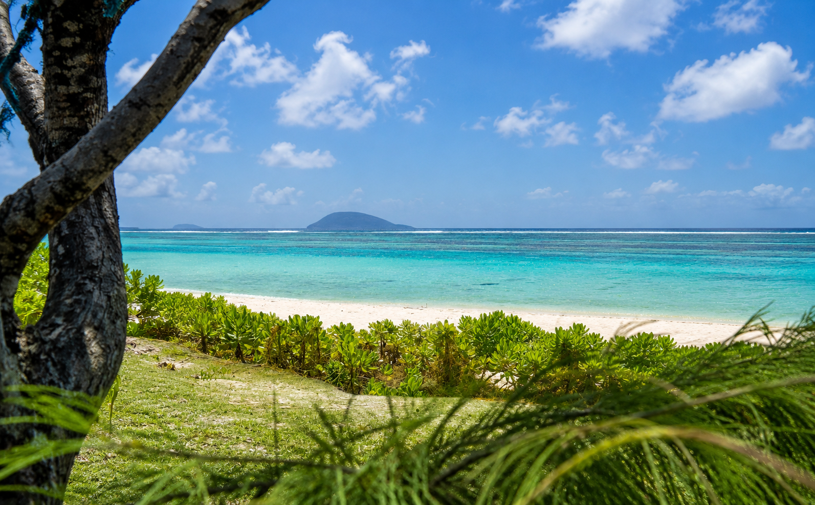Northern Islands Speedboat Adventure with BBQ Lunch
