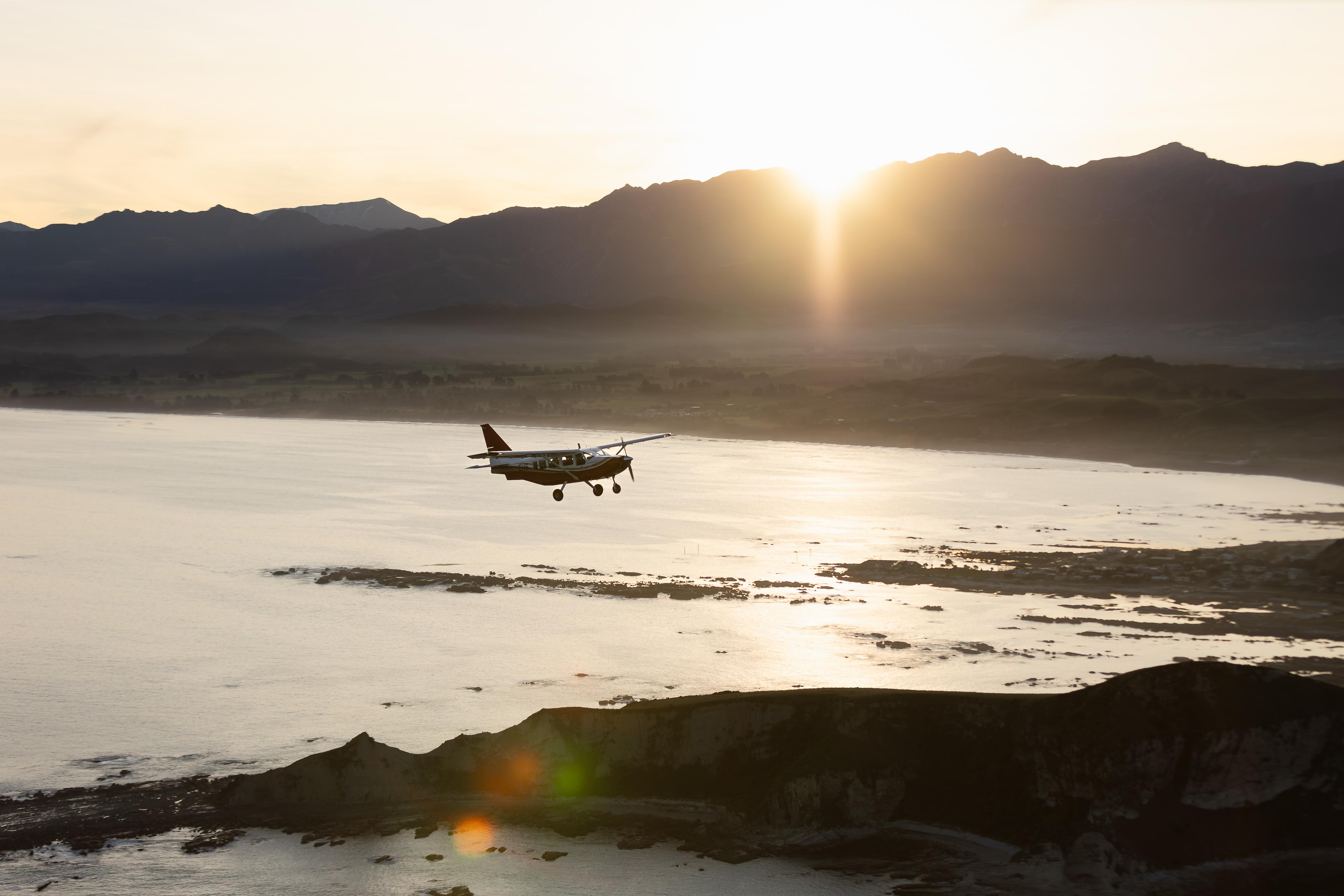 Kaikoura: Whale Watching Flight with Commentary