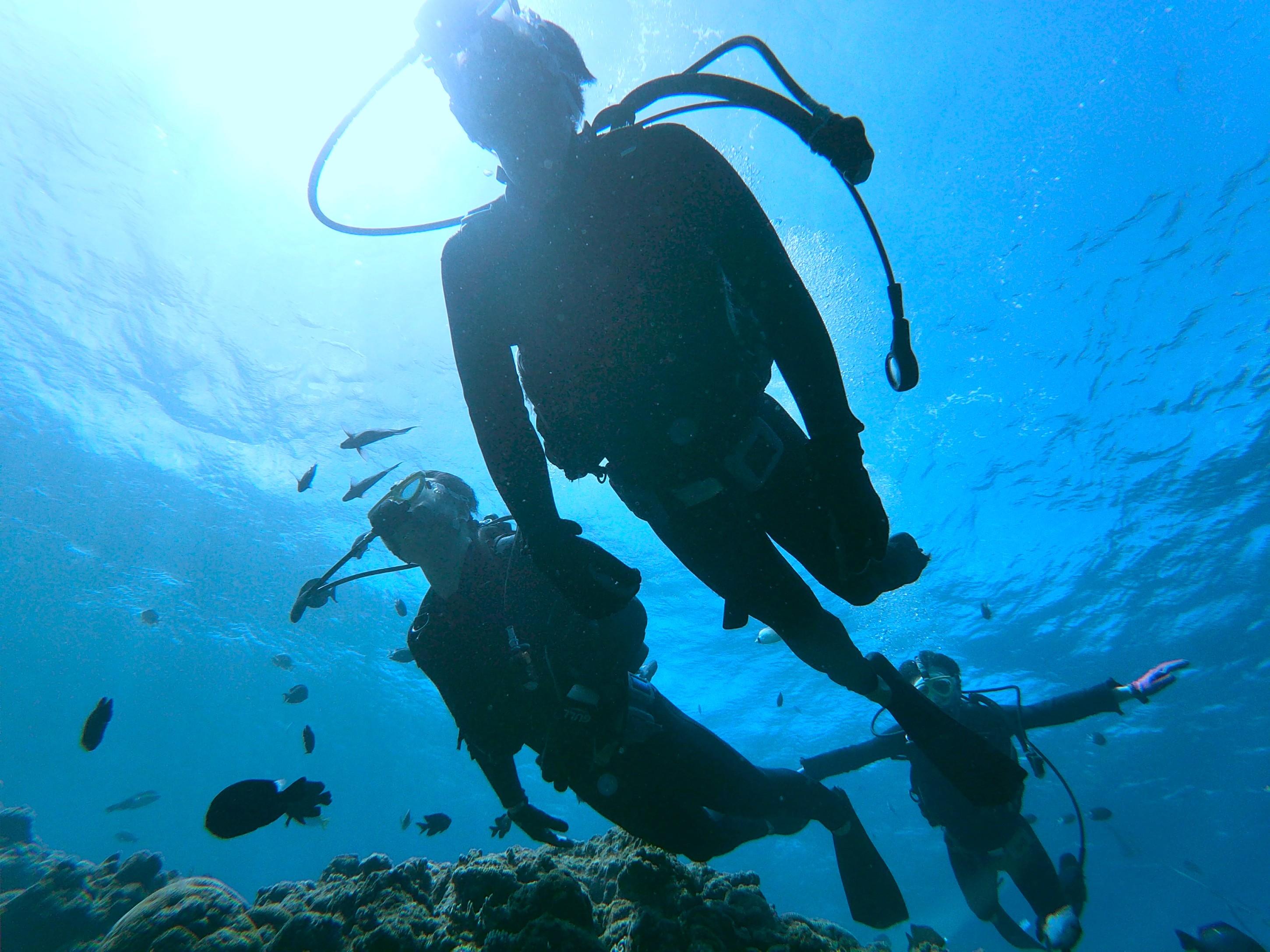【Okinawa】Blue Cave Guided Dive No License Needed ( by boat )