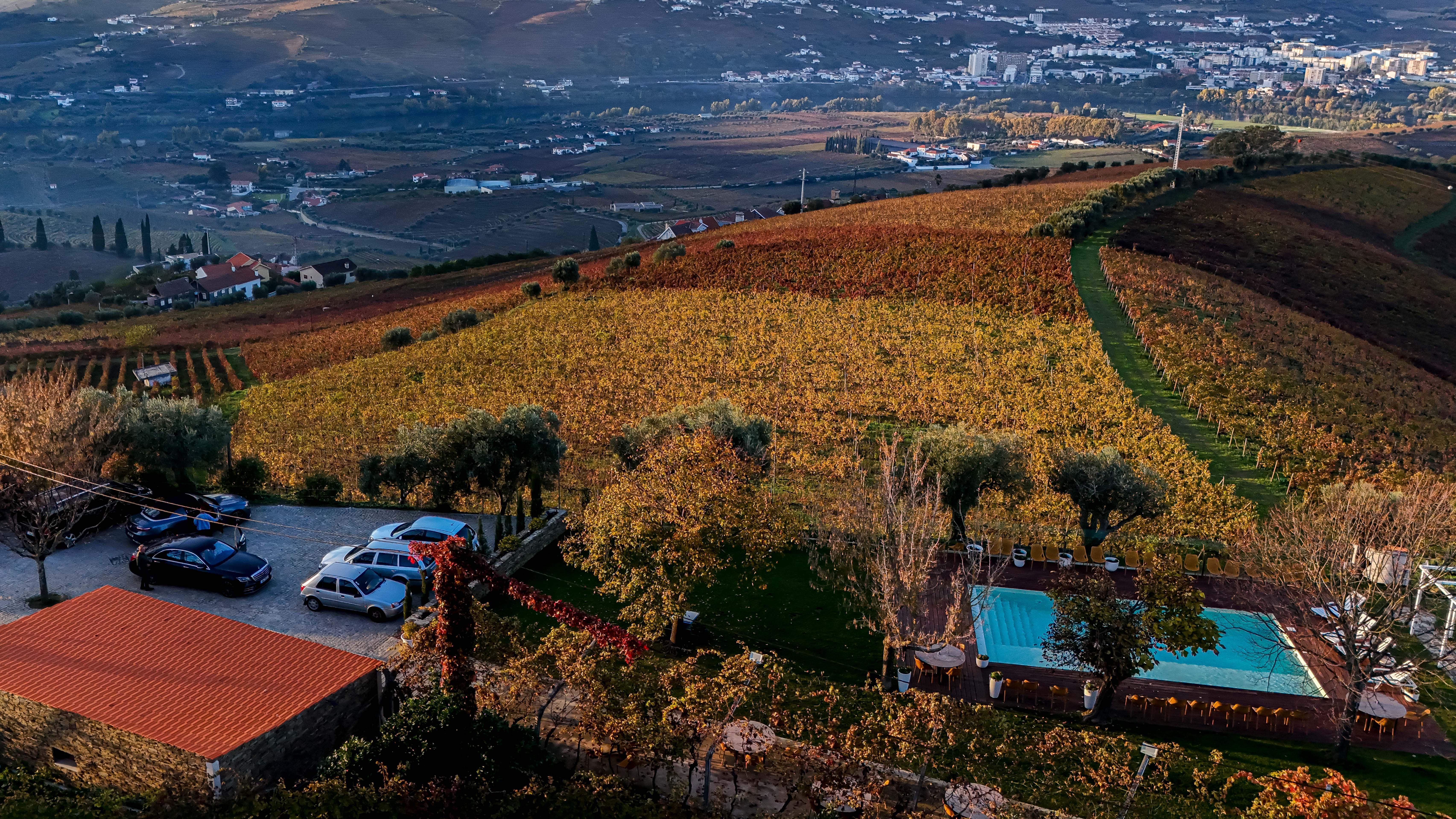 Douro Valley Wine & Boat Experience from Porto