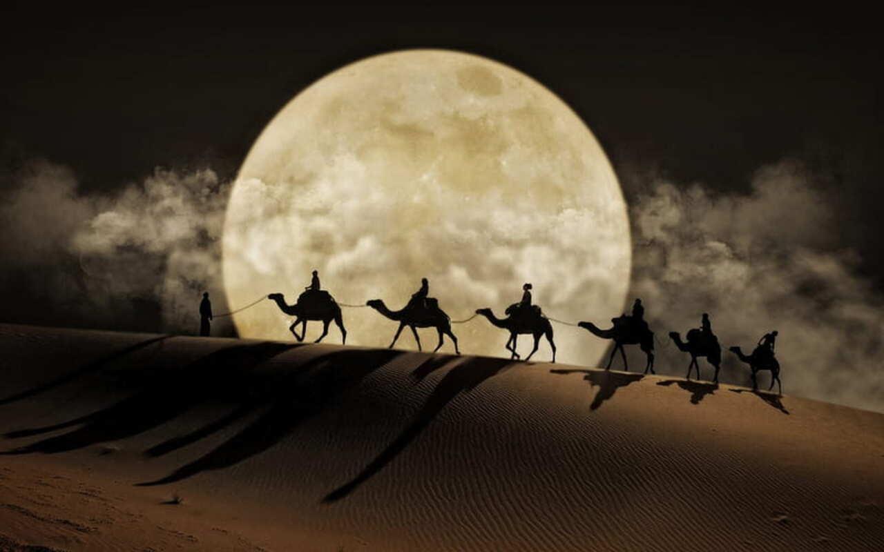 Doha: Desert Safari, Dune Bashing & Inland Sea Adventure
