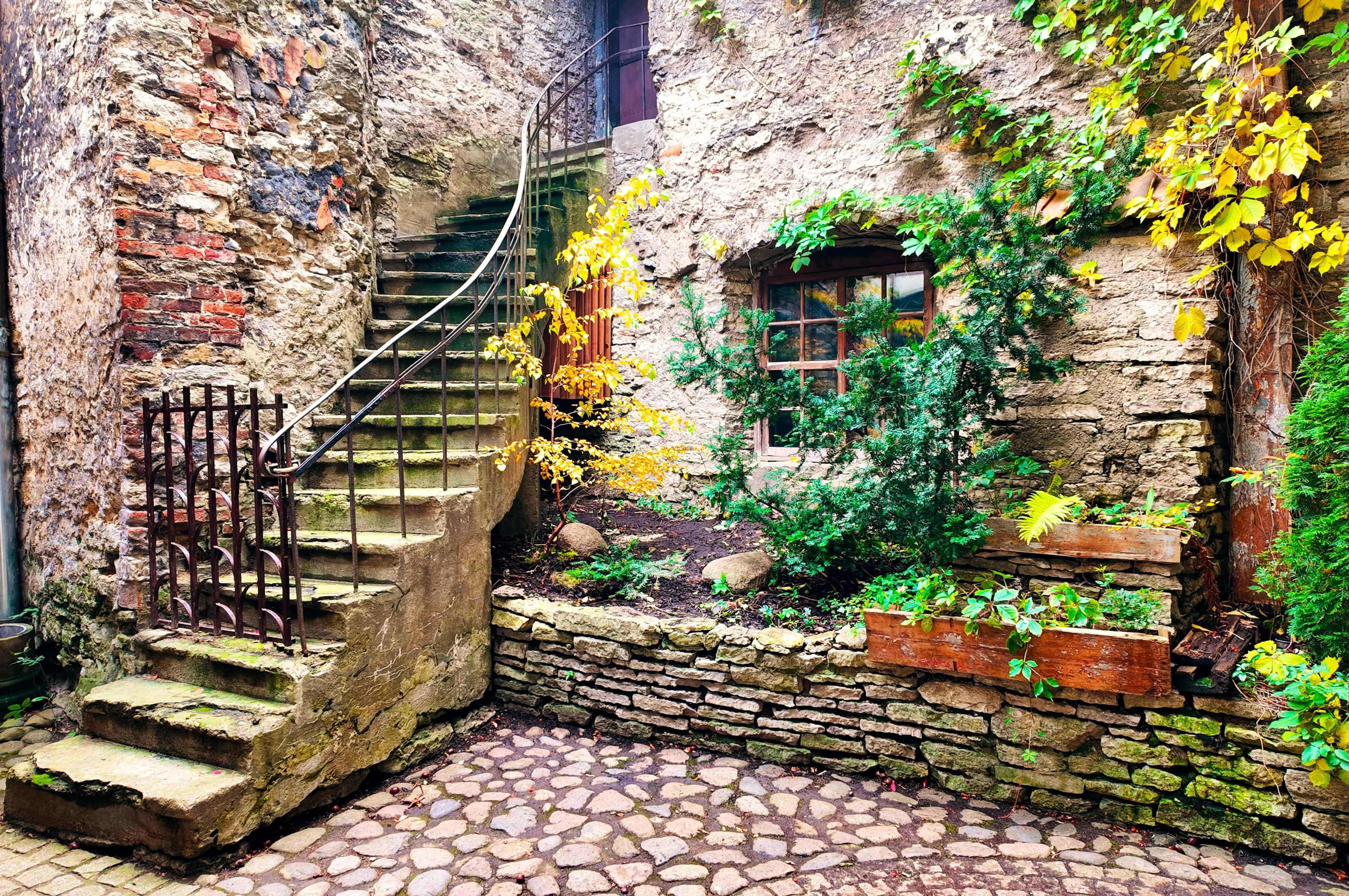 Tallinn Old Town Walking Tour