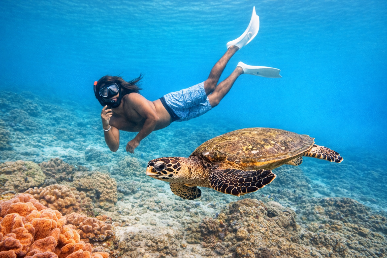 Trincomalee Guided Turtle Snorkeling Tour with Photos