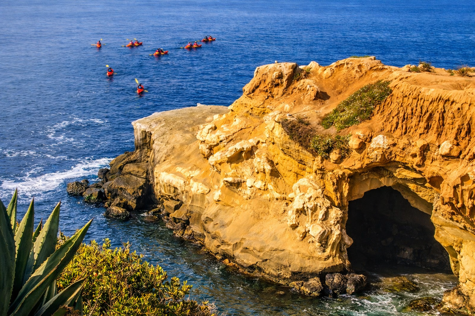 La Jolla: Full-Day Snorkel Gear Rental with Wetsuit Option - 2026 (Verified Reviews)