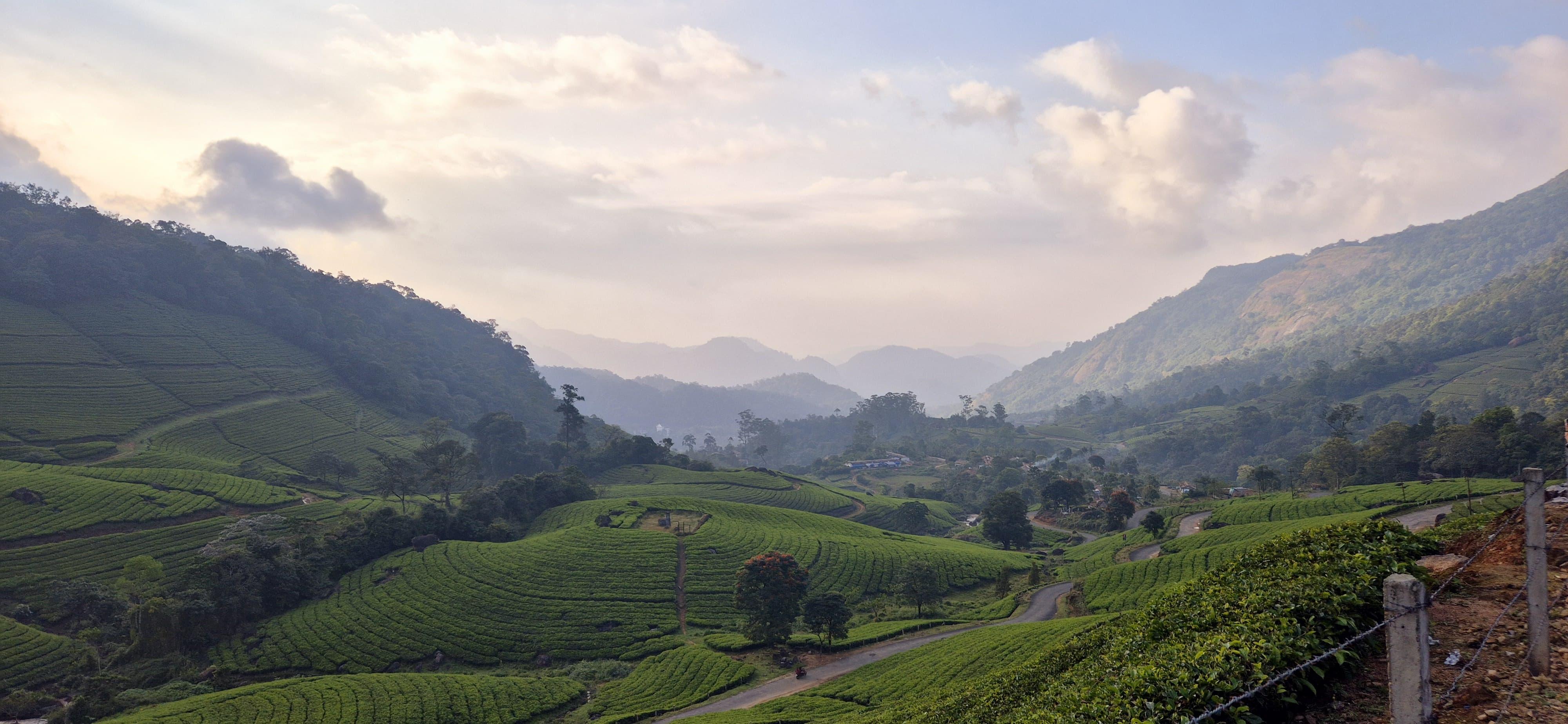 Munnar Wild Elephant Jeep Safari & Waterfall Tour