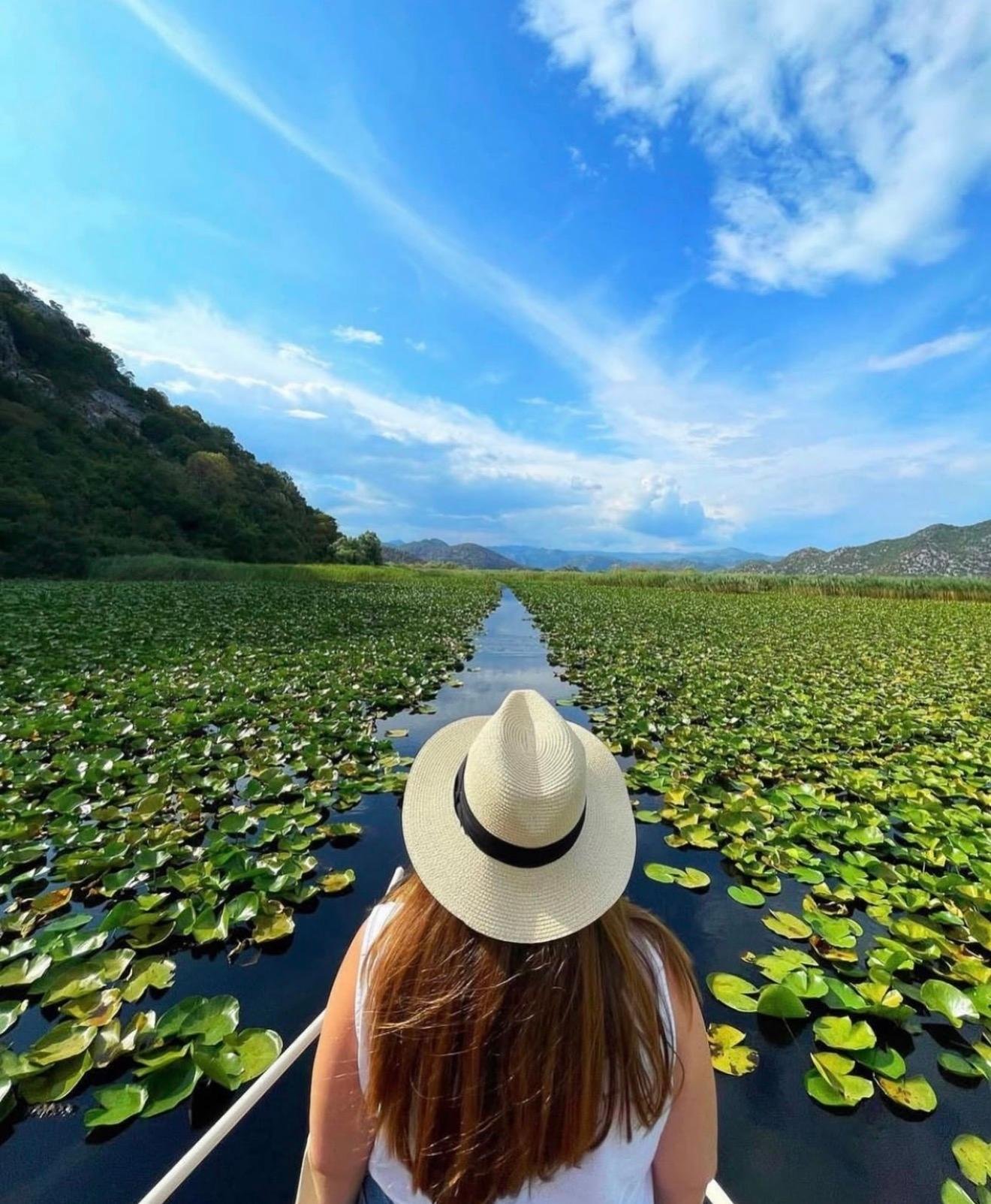 Skadar Lake Day Tour from Bar Cruise Port