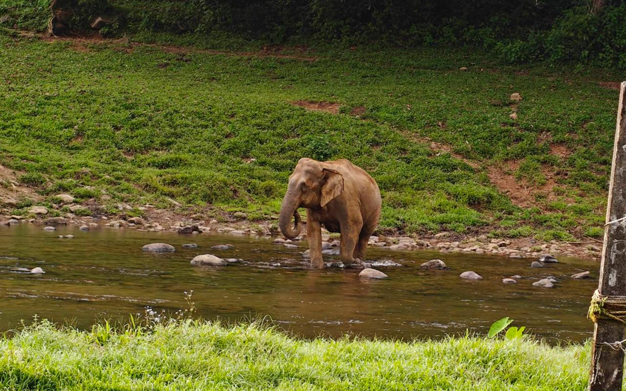Mankulam Eco-Village & Jeep Safari Day Trip from Coimbatore