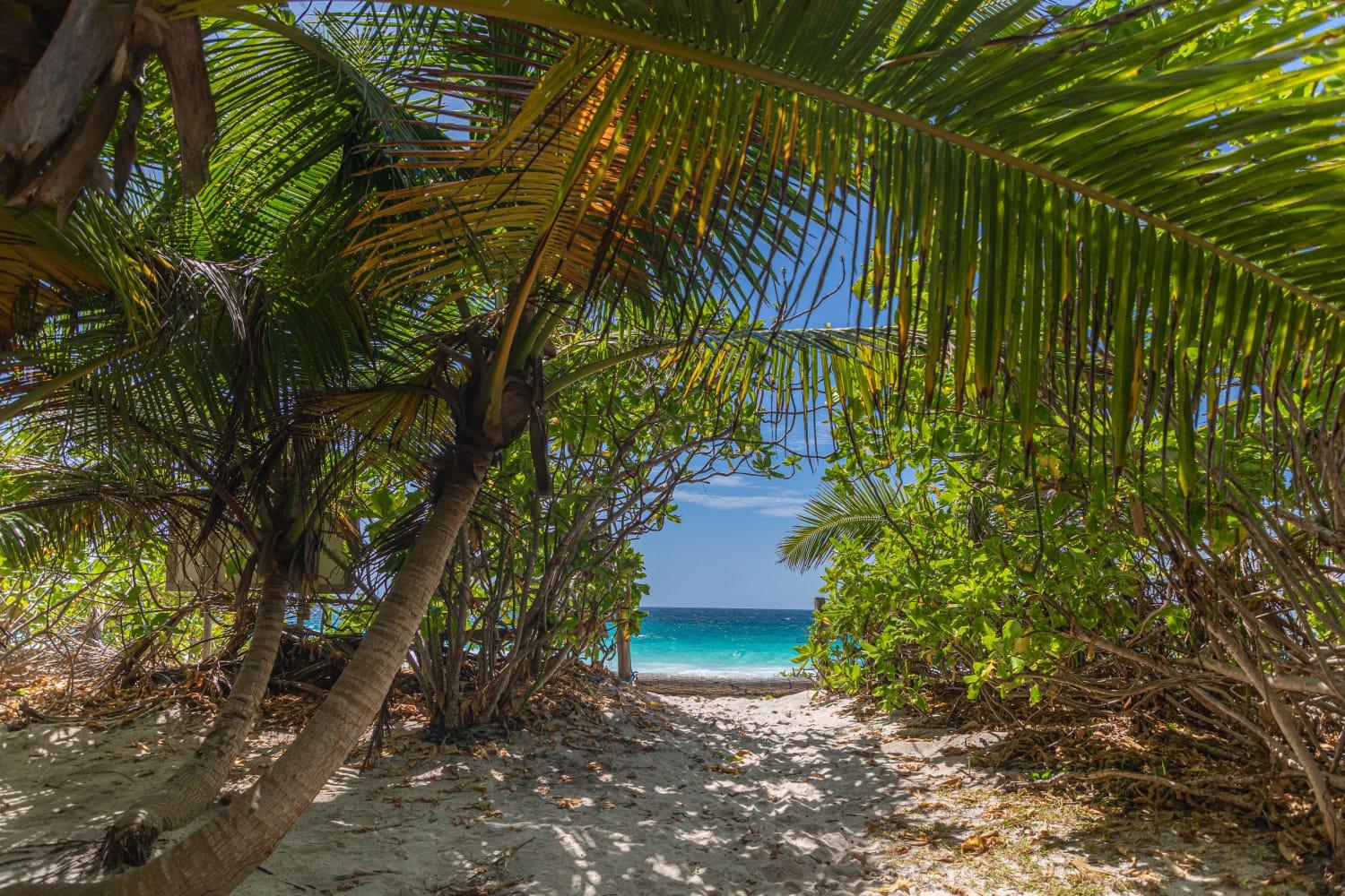 Sister & Coco Islands Full-Day Cruise with Creole BBQ