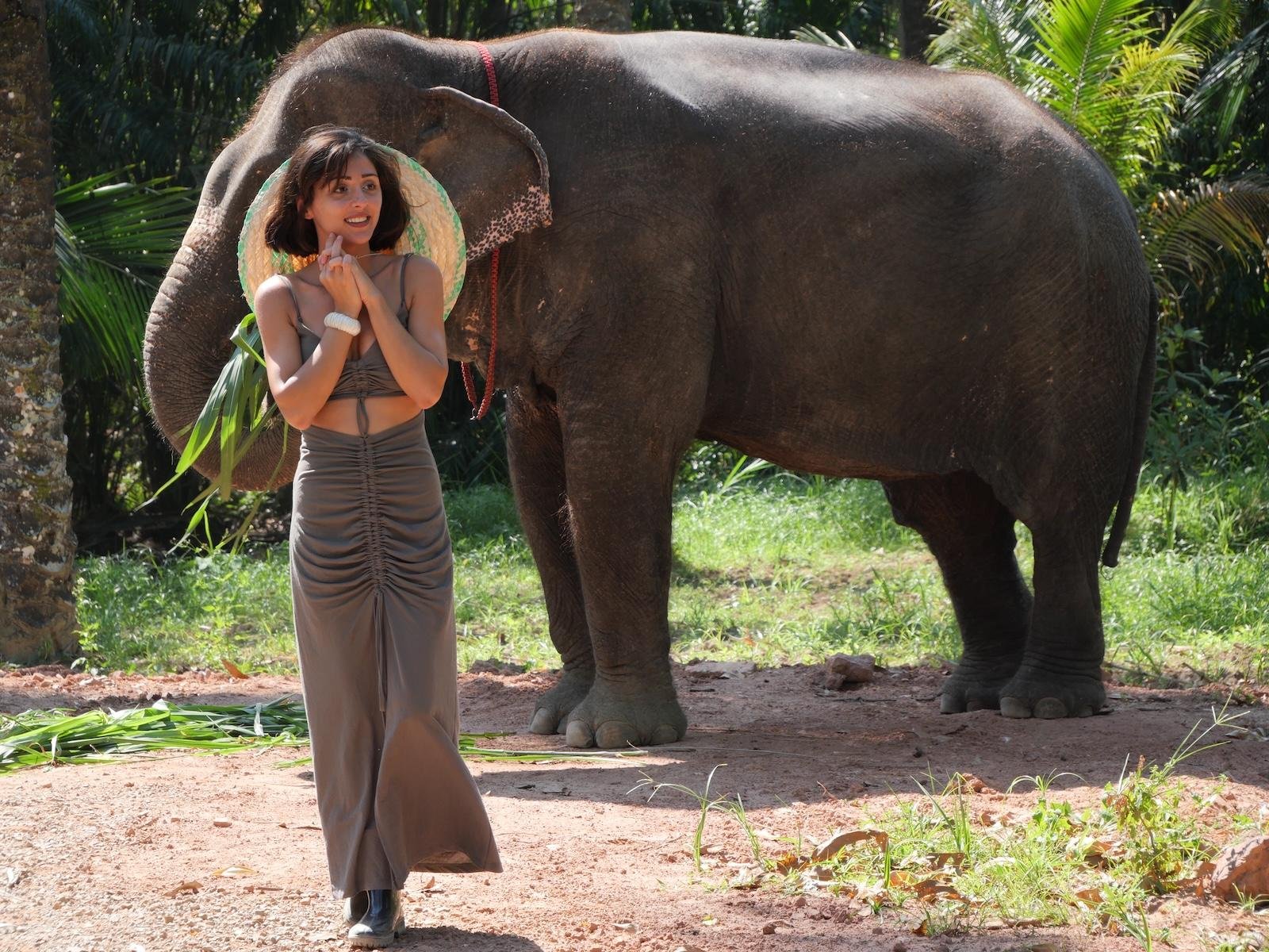 Krabi Ethical Elephant Sanctuary: Observe, Feed & Walk (No Touching)