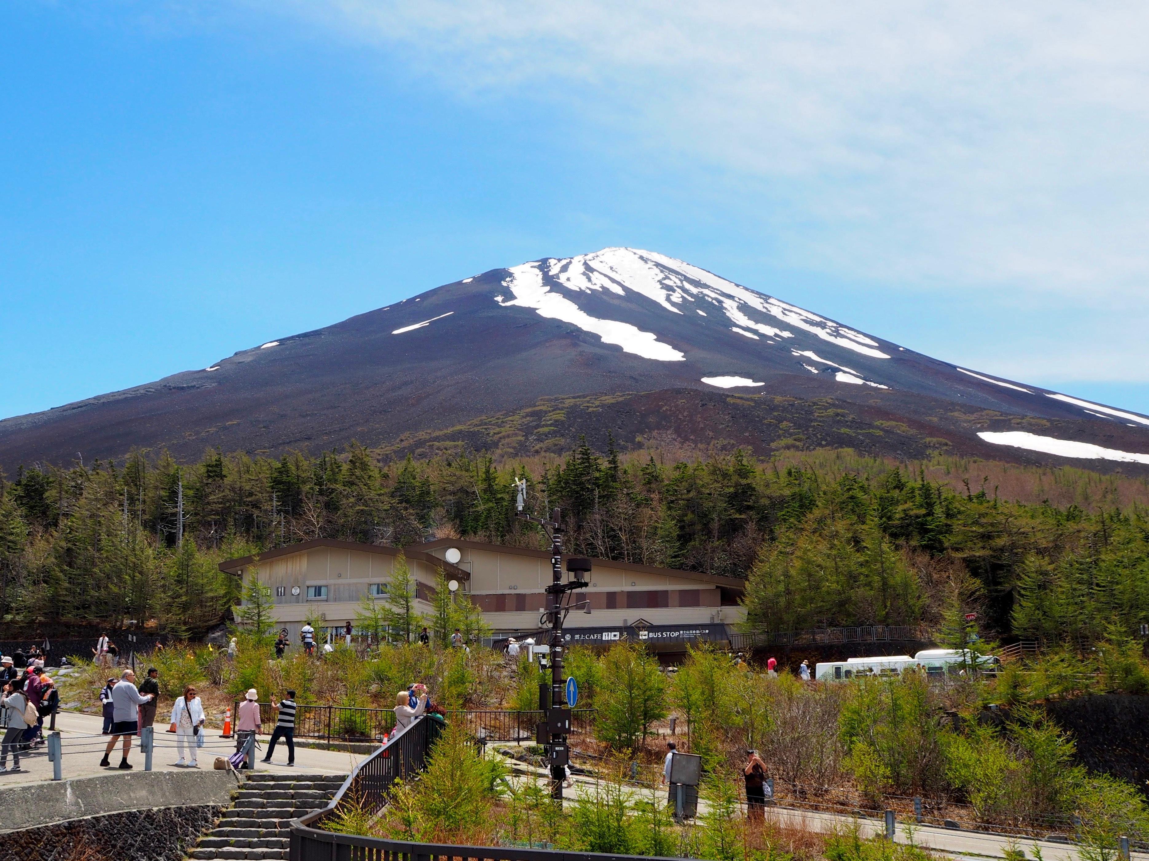 Mt. Fuji, Lake Kawaguchi & Chureito Pagoda Day Trip from Tokyo