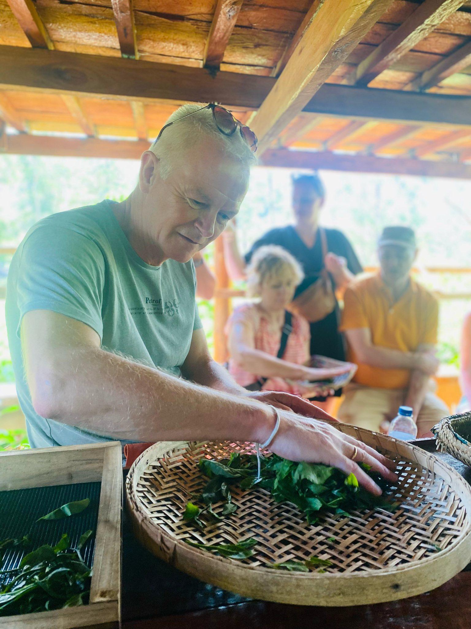 Ella: Hands-On Tea Crafting and Tasting Experience