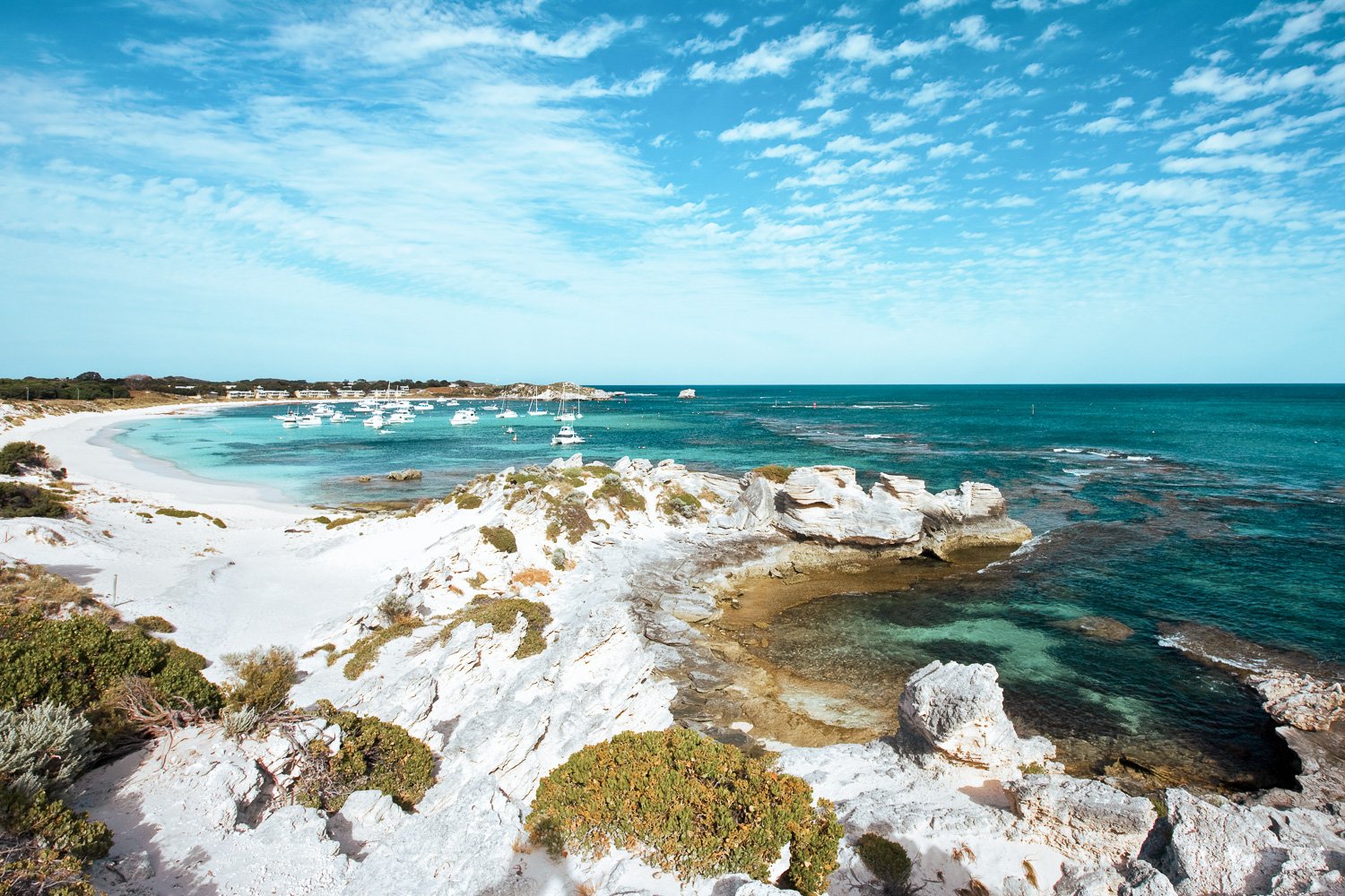 From Fremantle: Rottnest Island Ferry & Admission Ticket