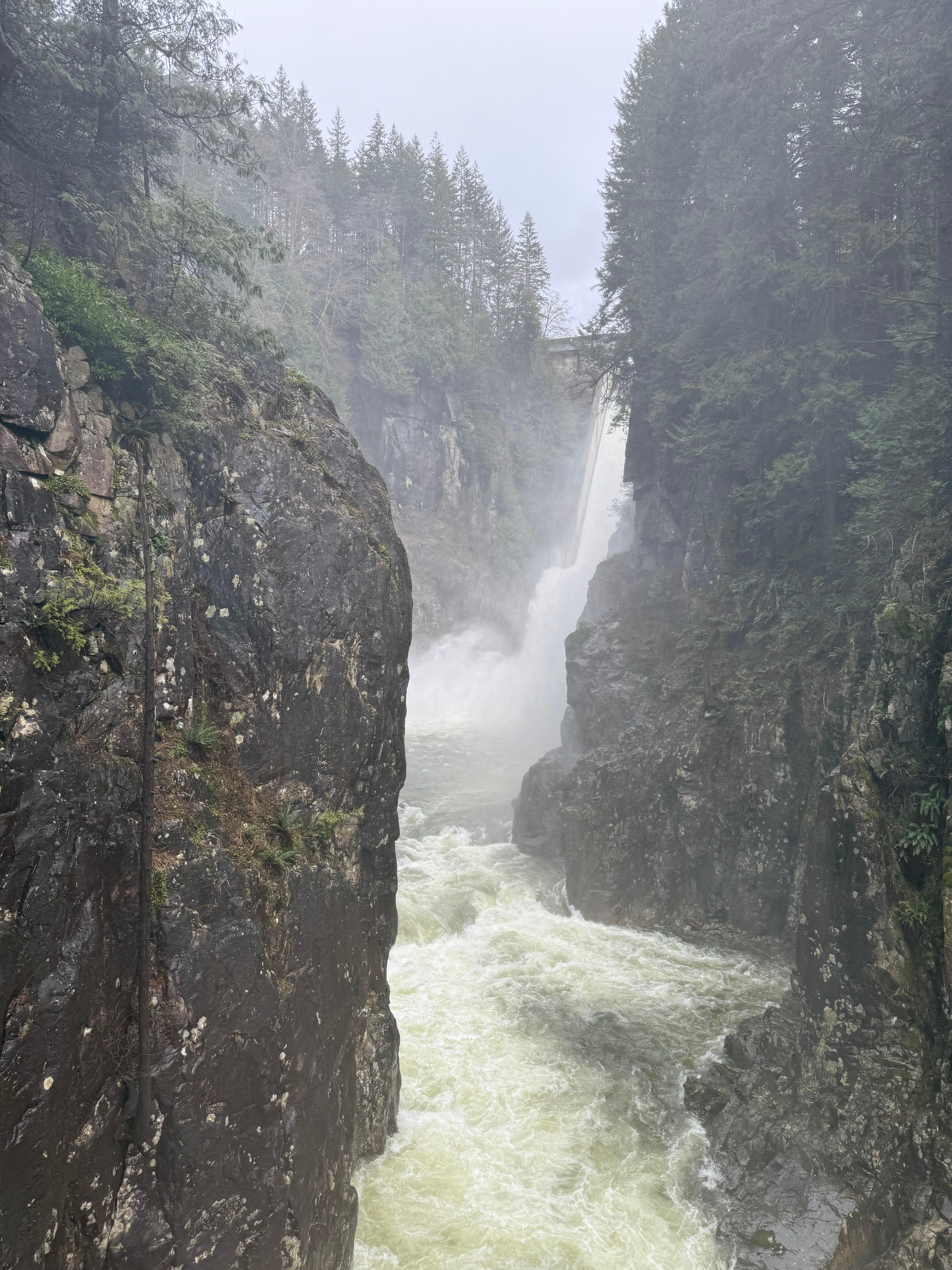 5-in-1 Vancouver Highlights: Grouse Mountain & Capilano Bridge Private Car Tour