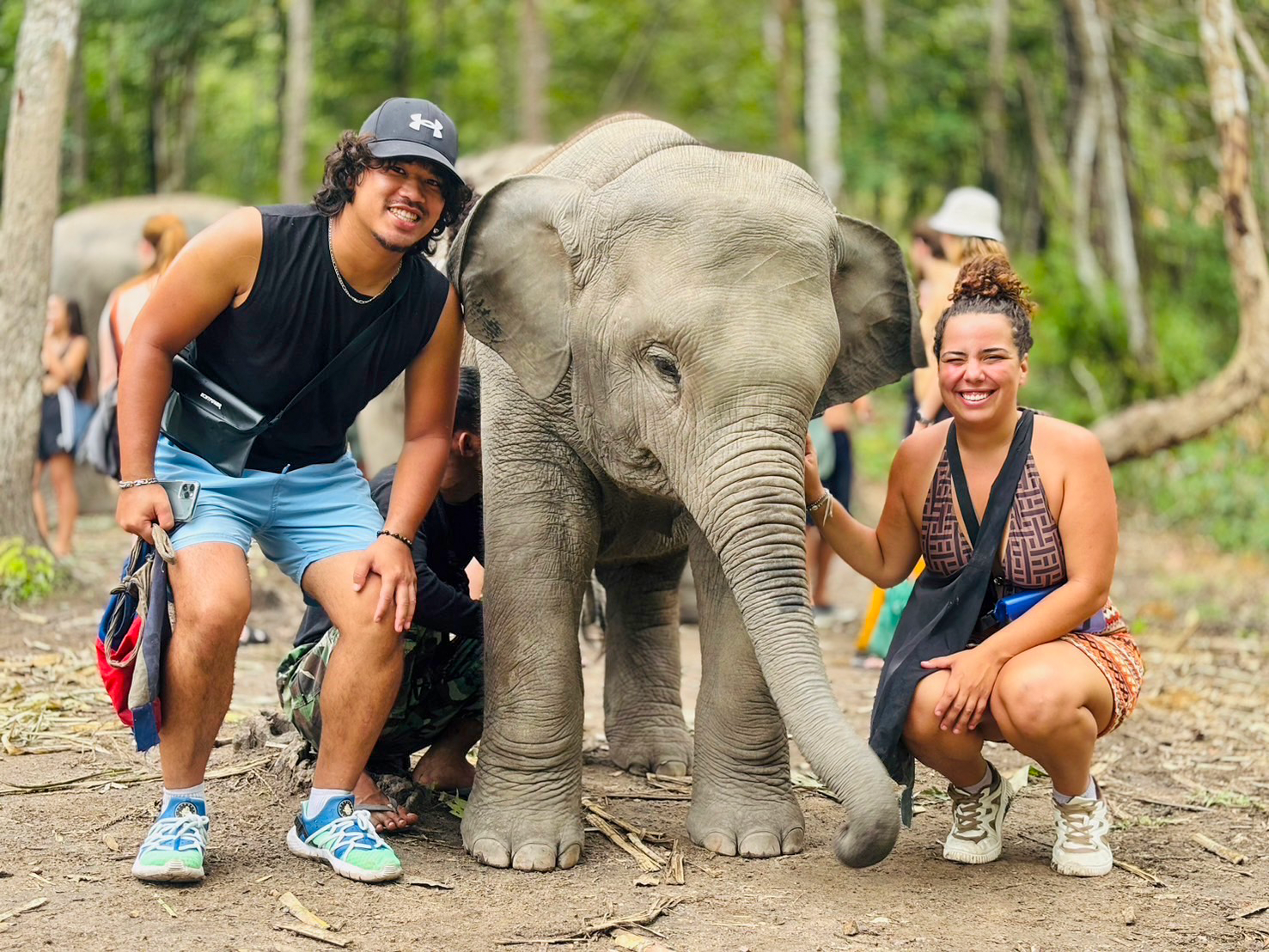 Doi Inthanon National Park & Elephant Sanctuary Full-Day Adventure