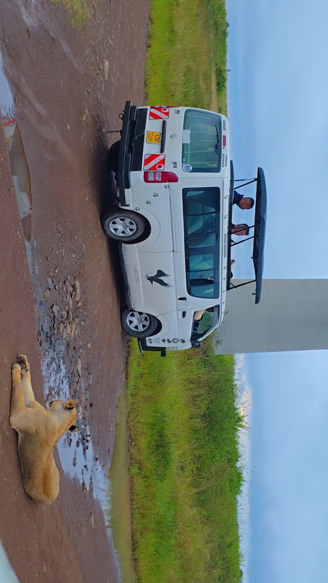Nairobi Safari: National Park, Elephant Orphanage & Giraffe Center