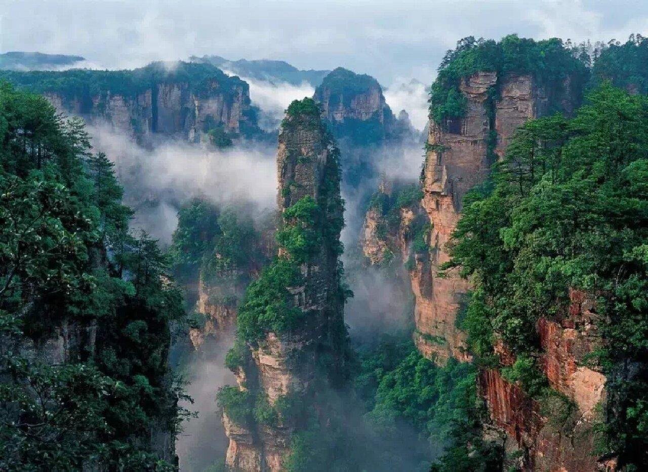 Zhangjiajie Glass Bridge & Avatar Peaks Full-Day Tour