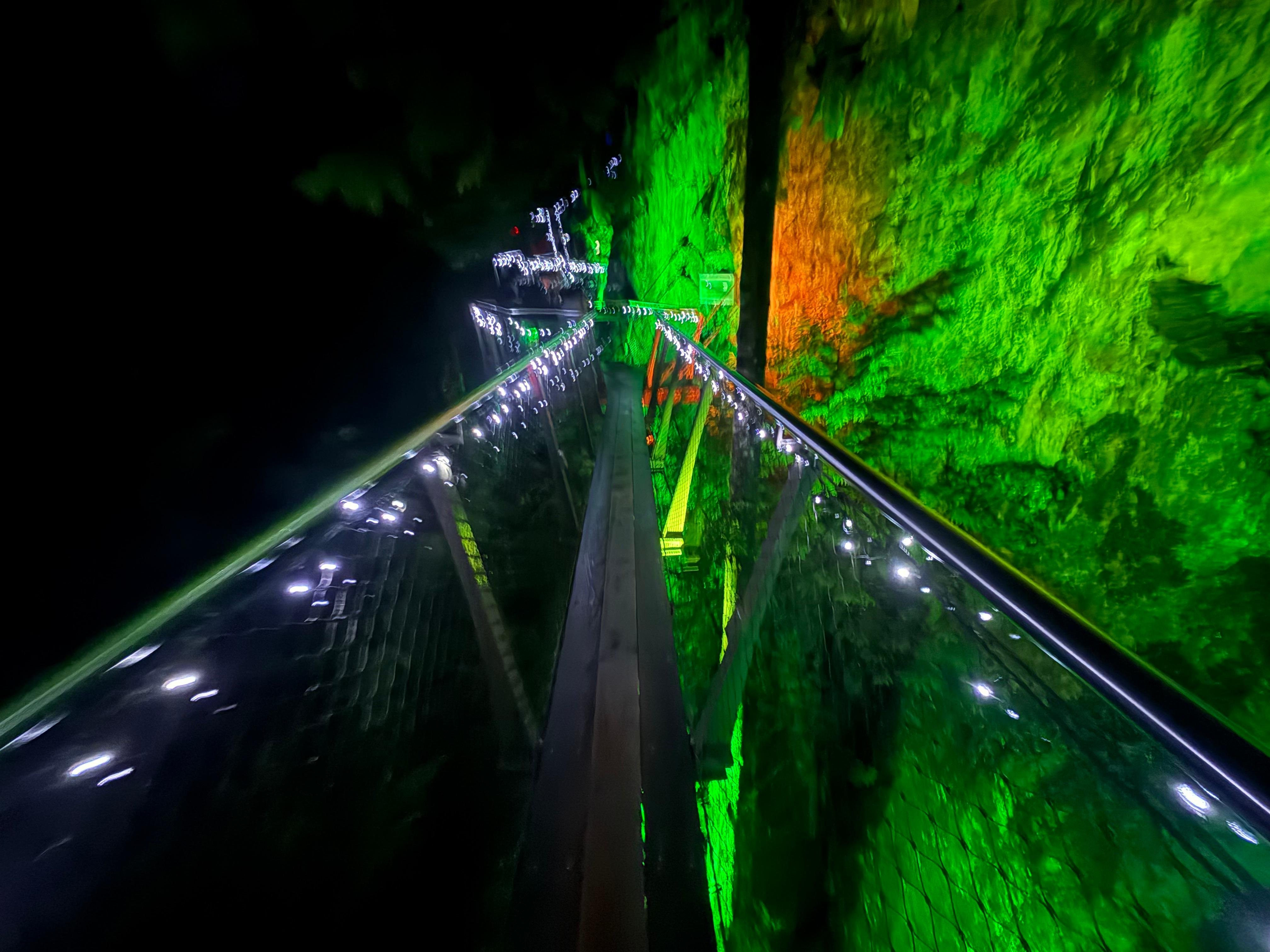 Capilano Suspension Bridge & Stanley Park Small Group Tour