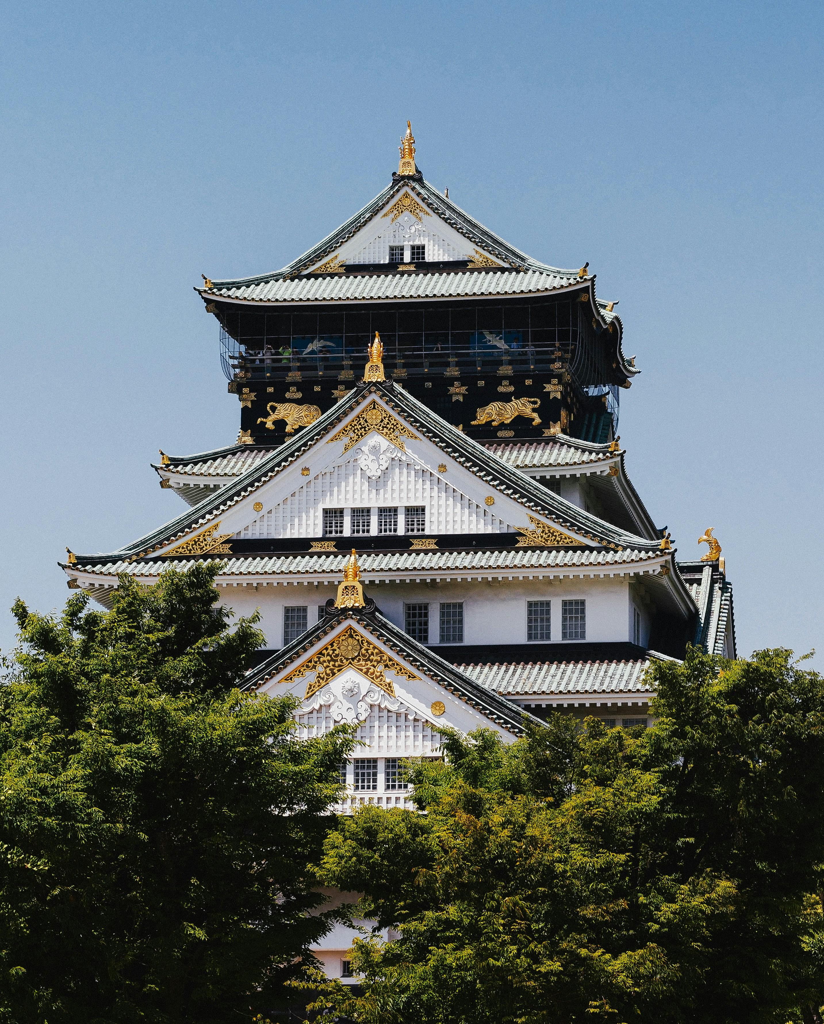 Osaka Custom Private Tour by Luxury Vehicle