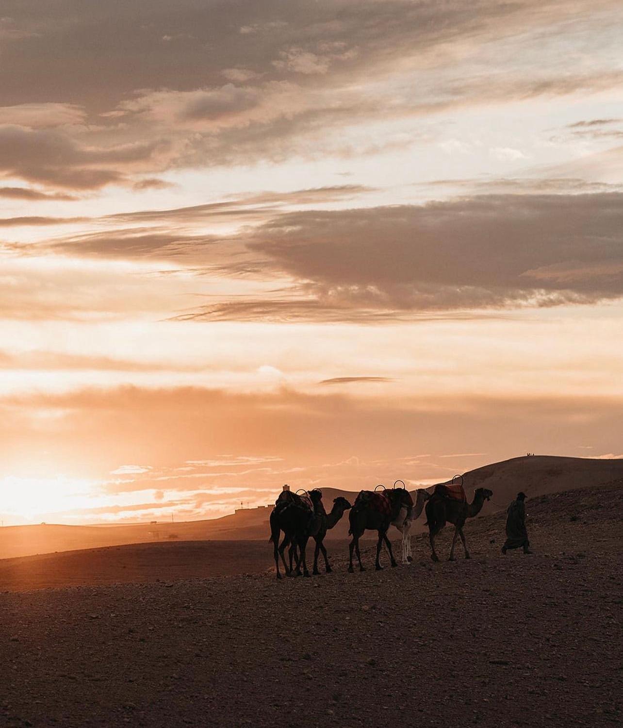 Agafay Desert Sunset, Camel Ride & Berber Dinner Show from Marrakech