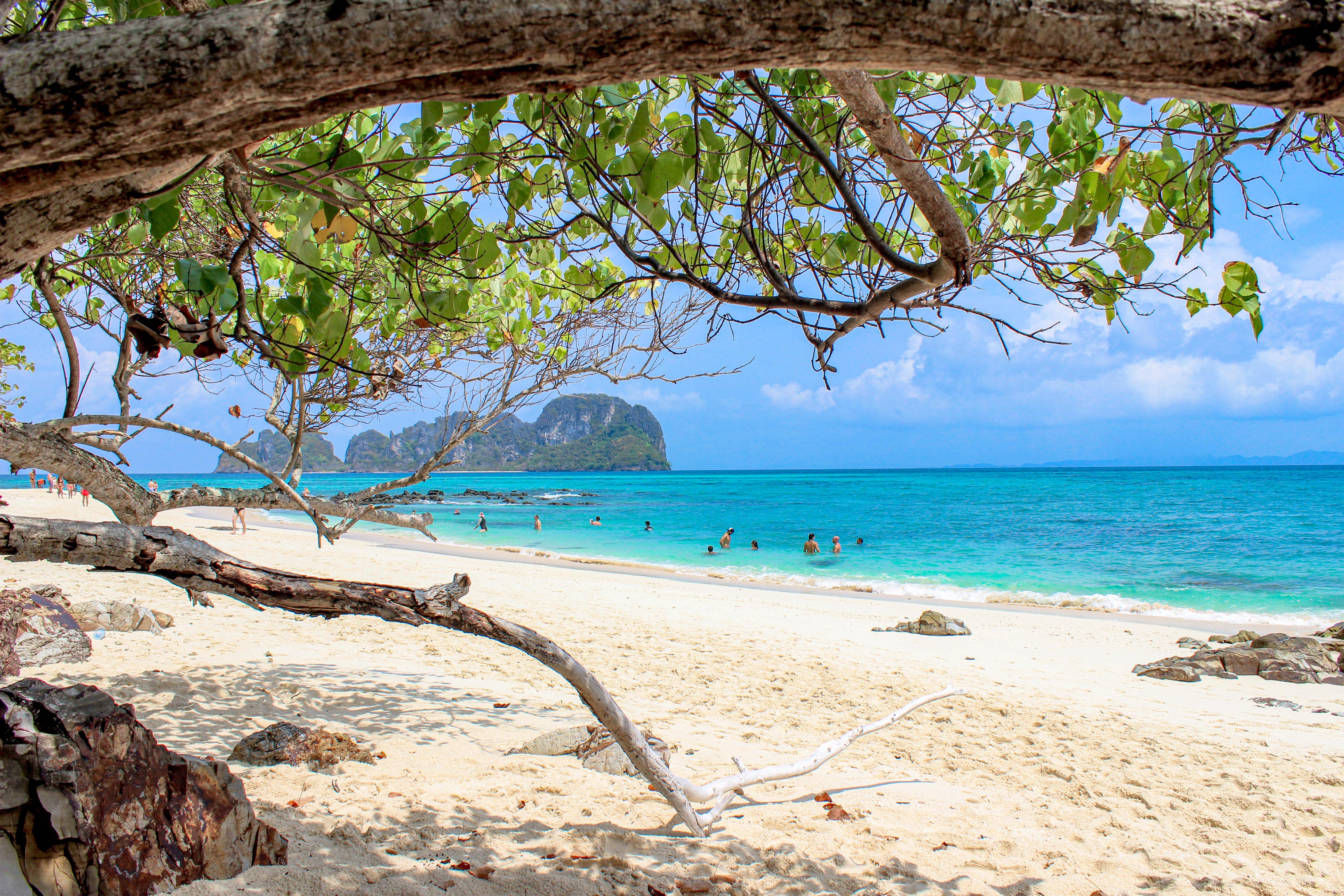Early-Bird Phi Phi Islands Sunrise Speedboat Tour