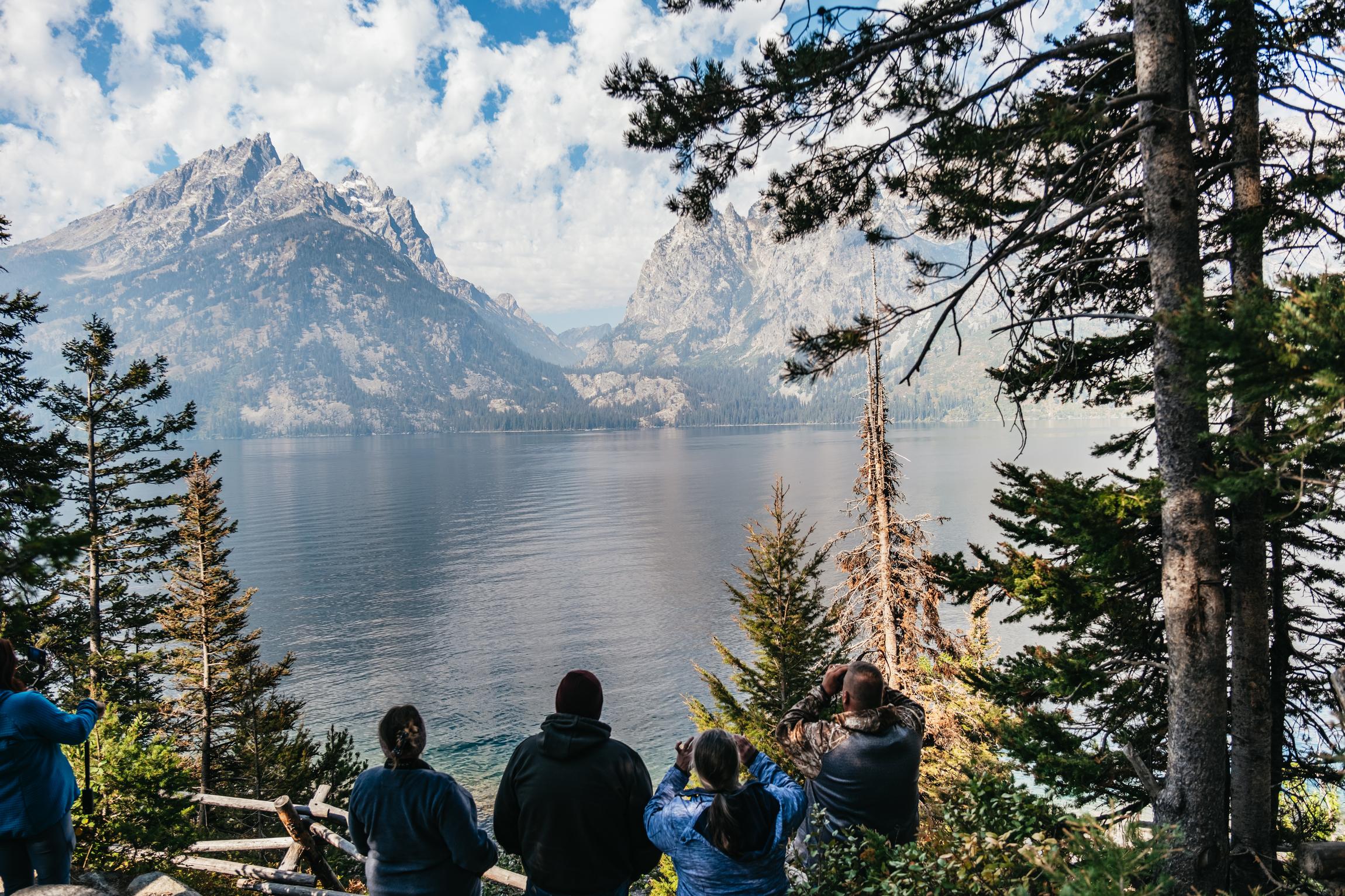 Grand Teton National Park Wildlife Safari