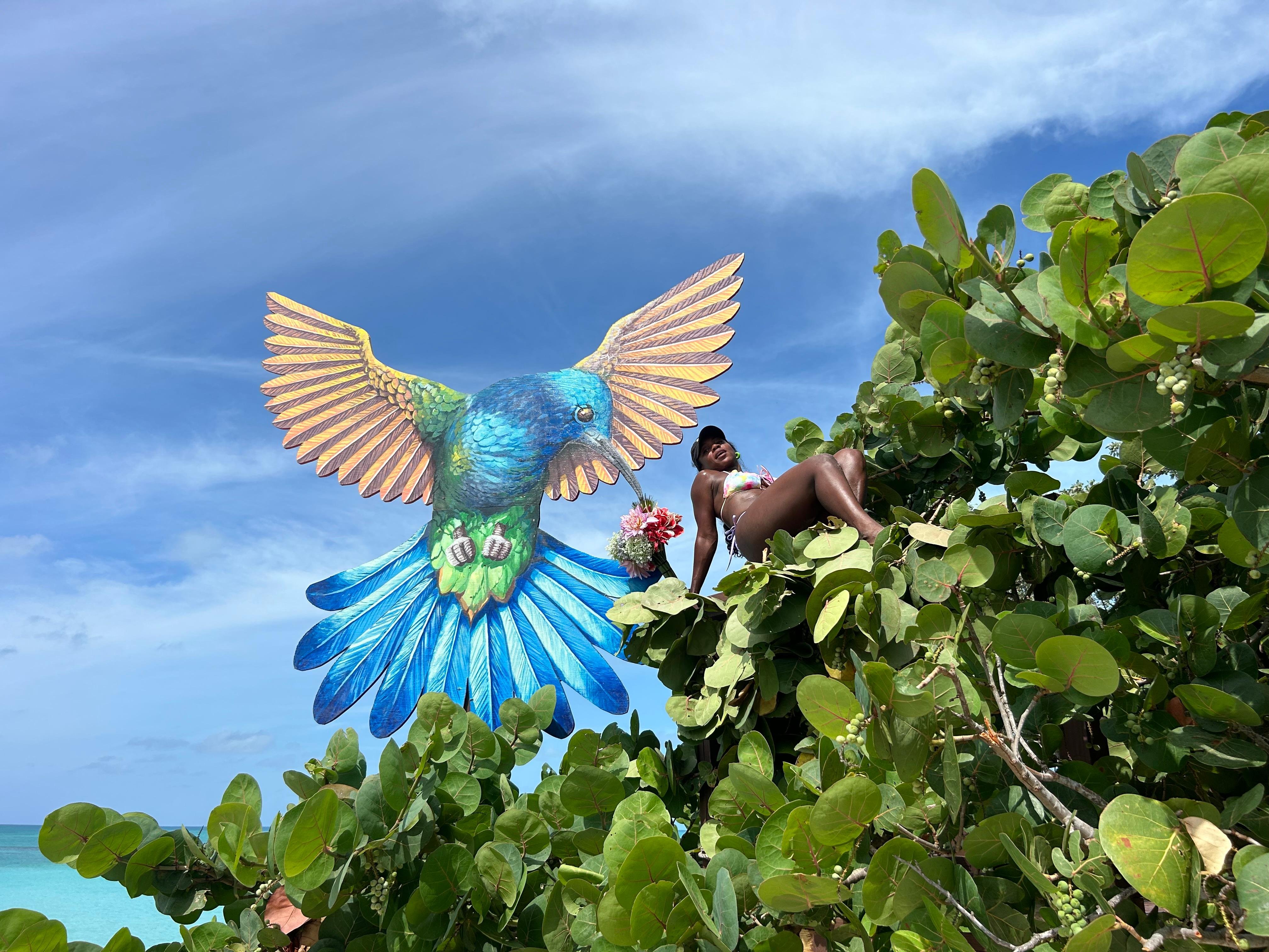 Nassau Powerboat Adventure: Snorkeling, Green Cay Turtles & Private Beach Club