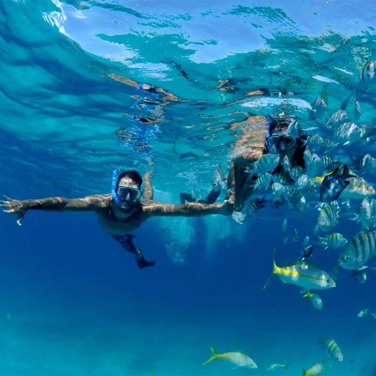 Puerto Morelos Reef Snorkeling Adventure