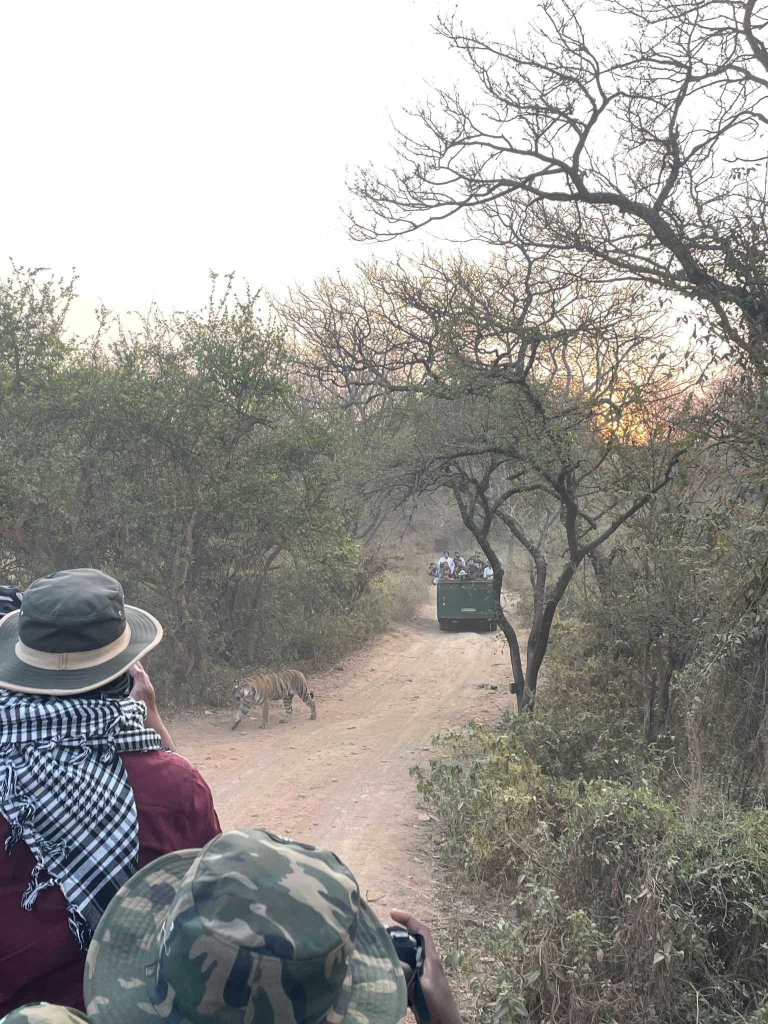 4-Day Golden Triangle & Ranthambore Private Expedition