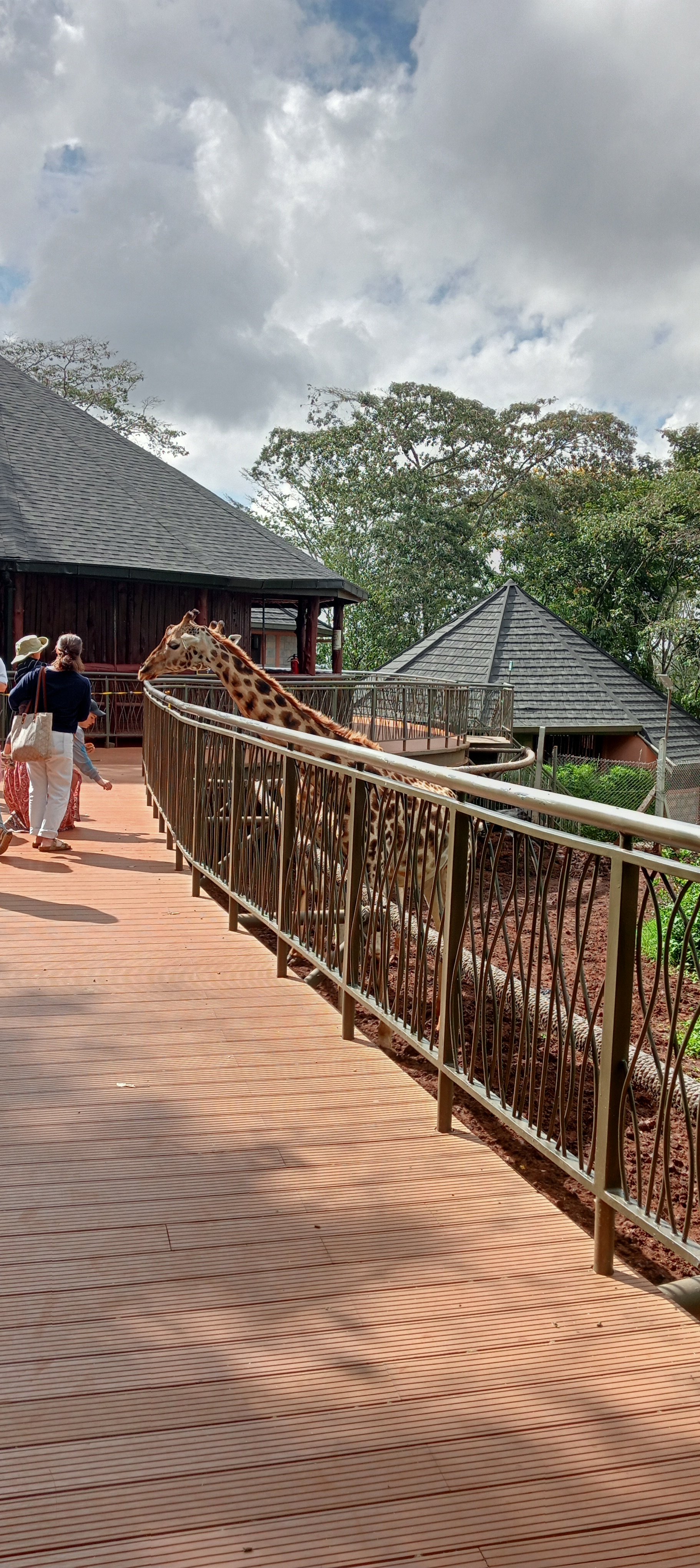 Nairobi Wildlife & History Day Tour