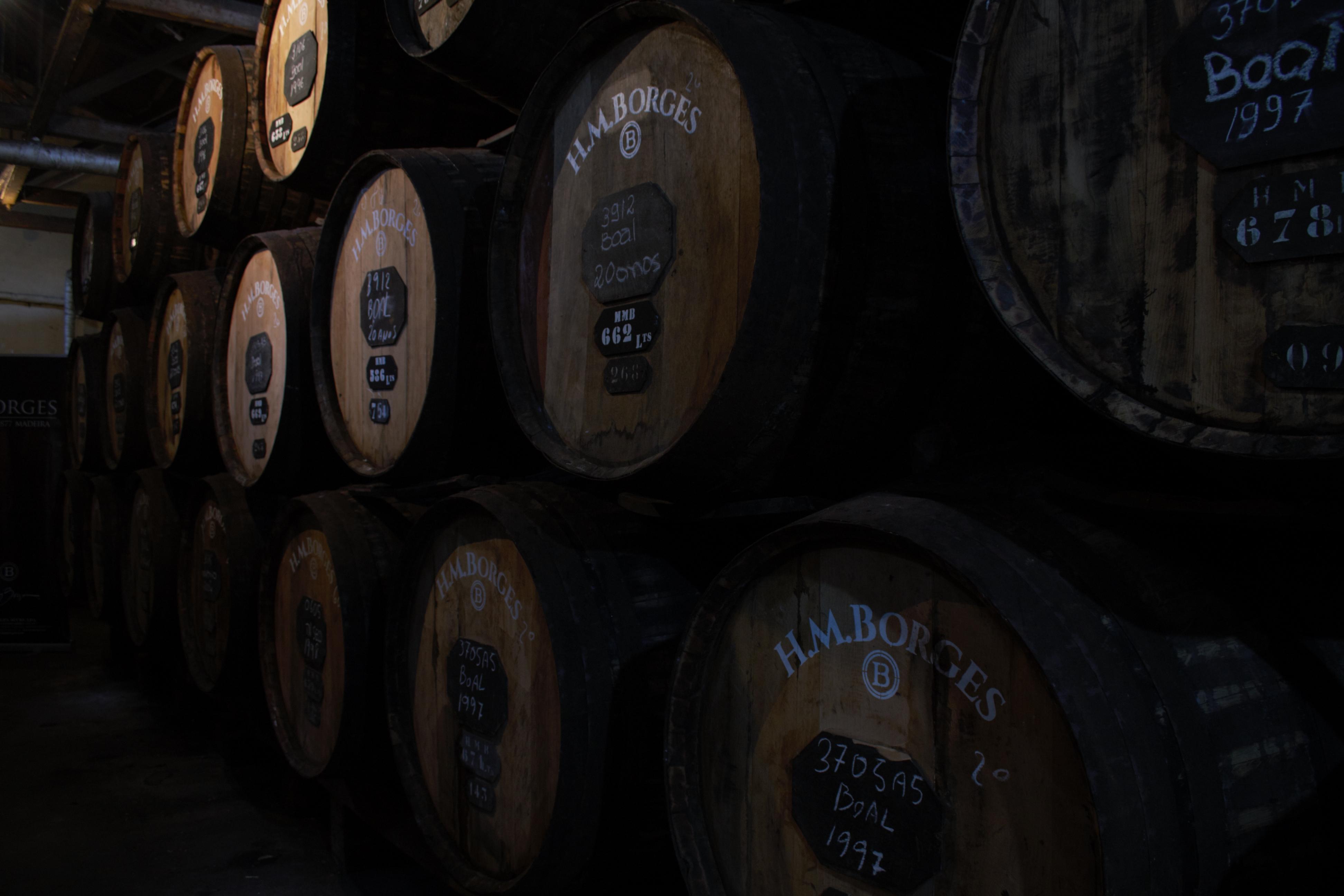 madeira wine tasting in Madeira — photo 5