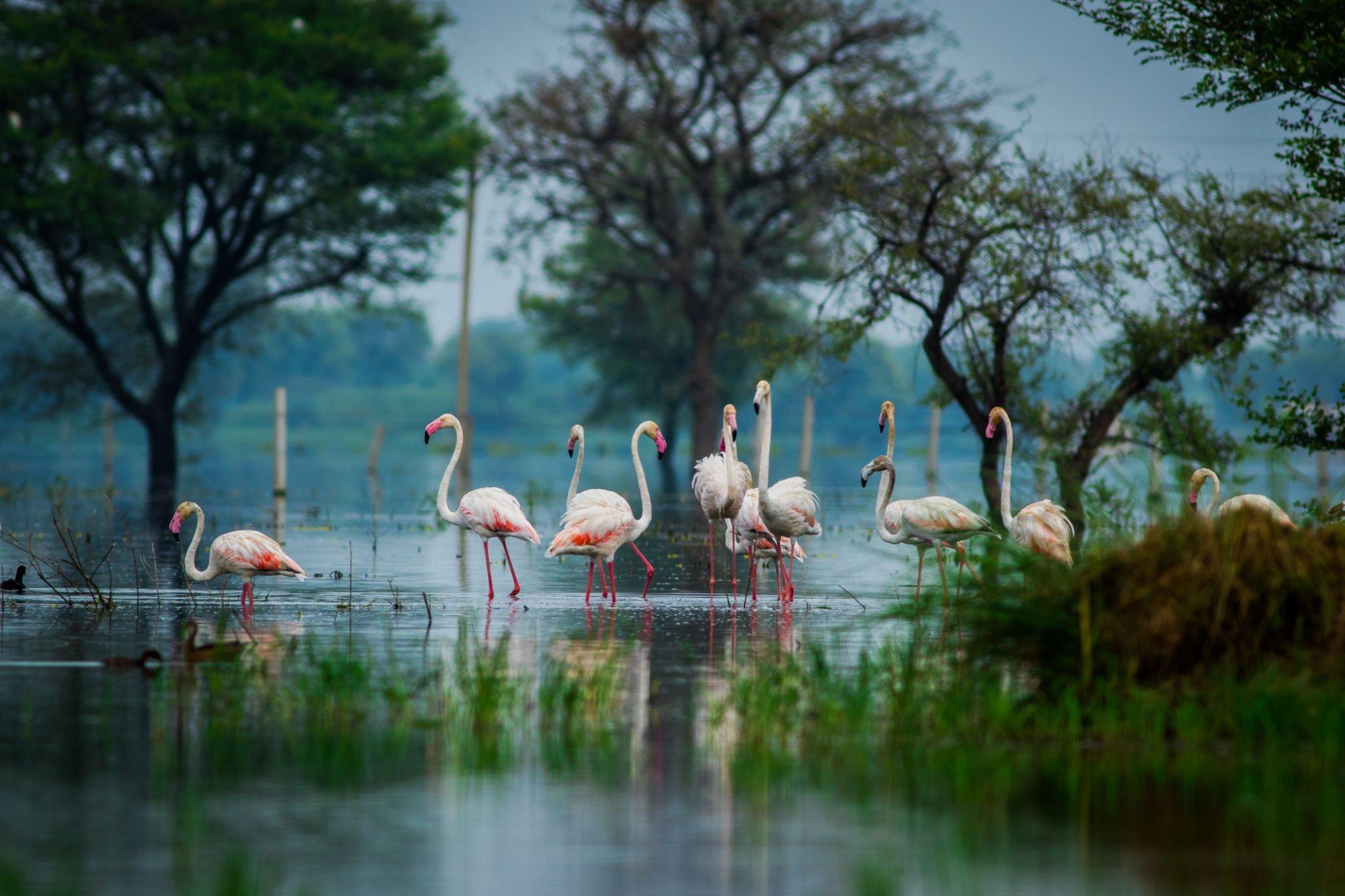 Agra Full-Day Tour: Taj Mahal, Fatehpur Sikri & Keoladeo Safari