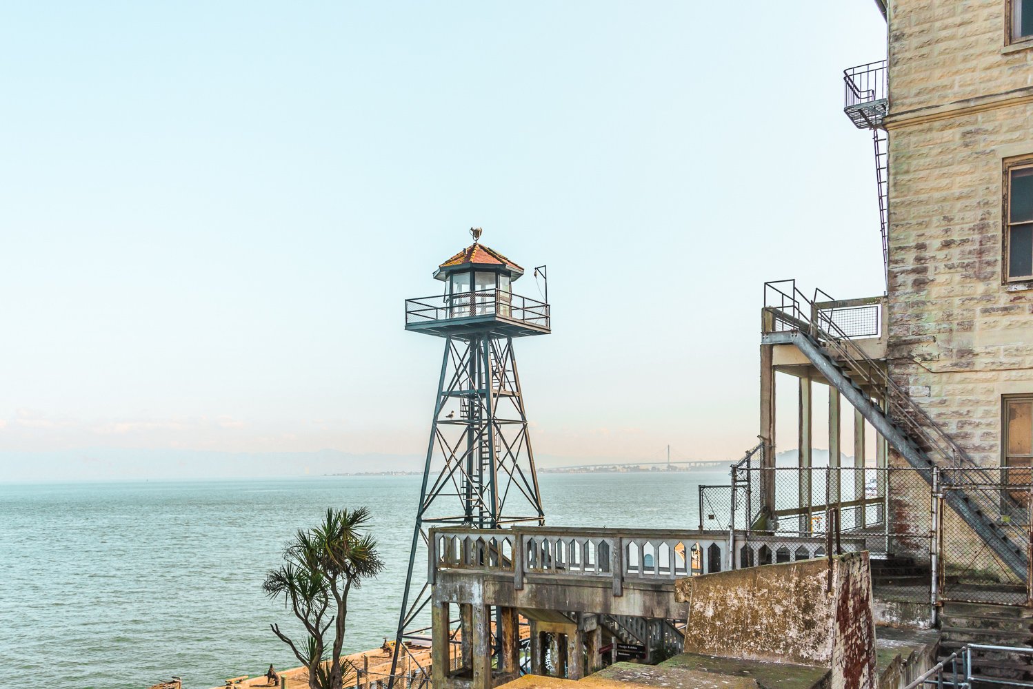 San Francisco: 2-Day Hop-On Hop-Off Bus & Alcatraz Island Tour