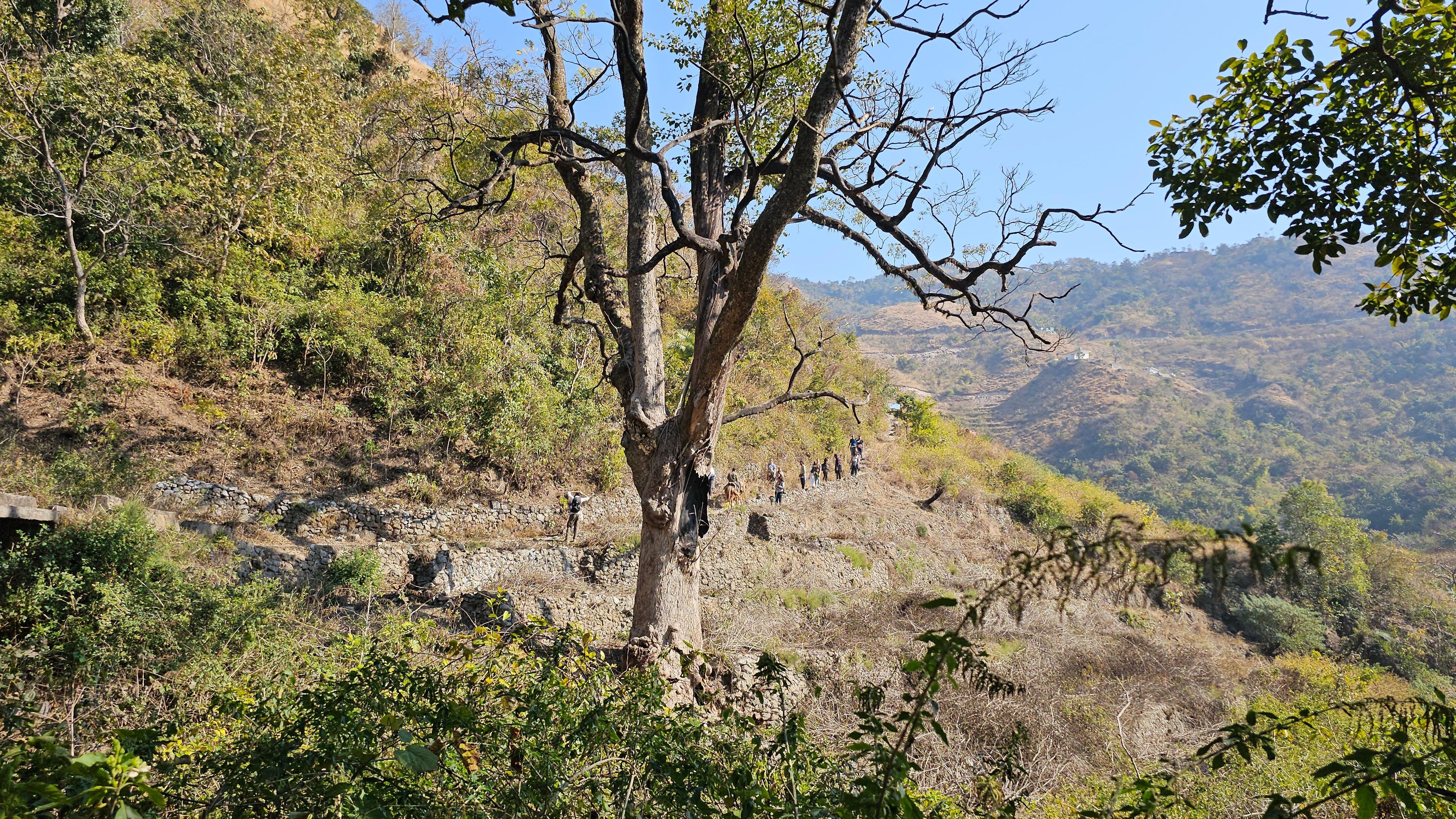 Kunjapuri Himalayan Sunrise Trek & Waterfall Hike