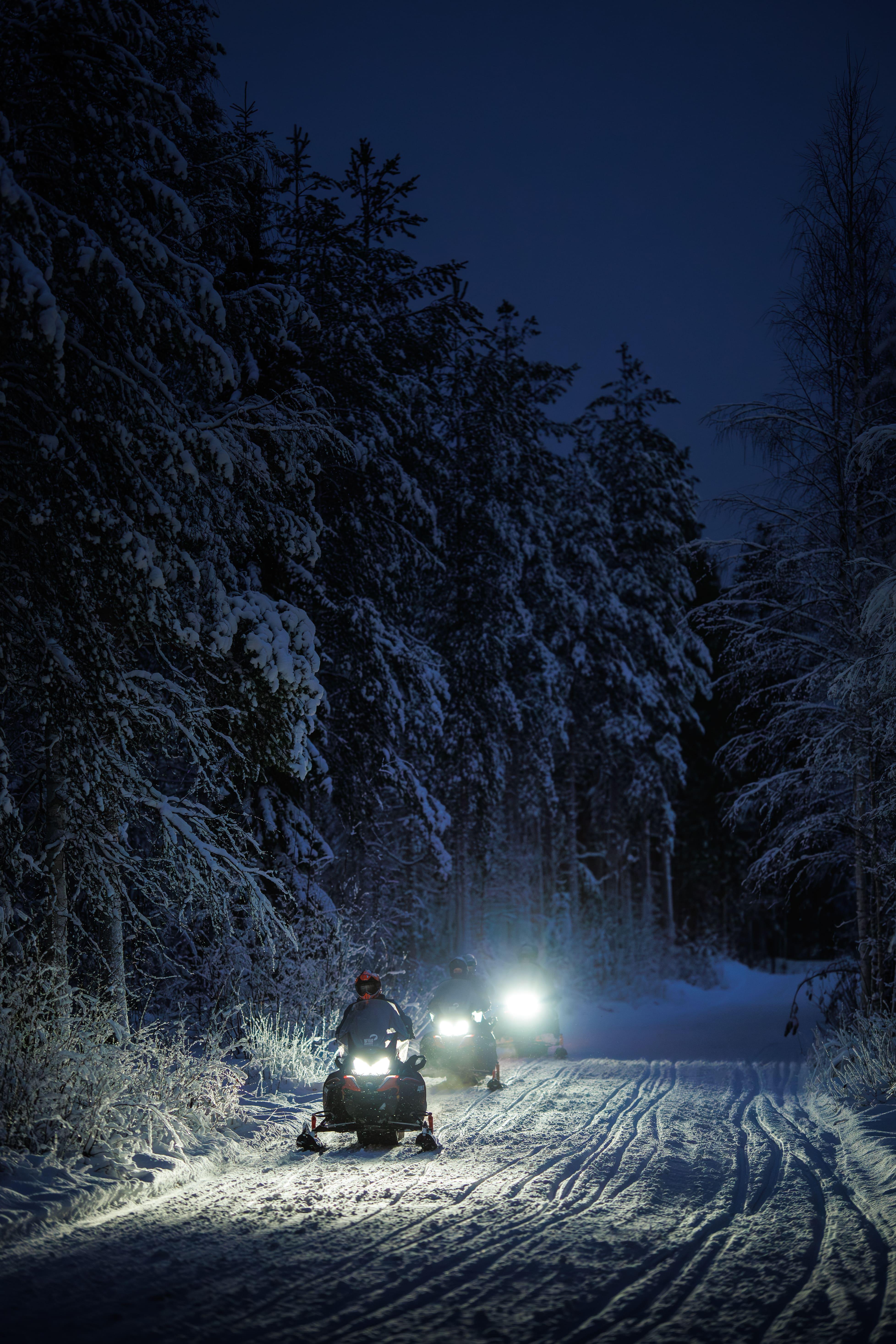 Rovaniemi Arctic Forest Snowmobile Safari